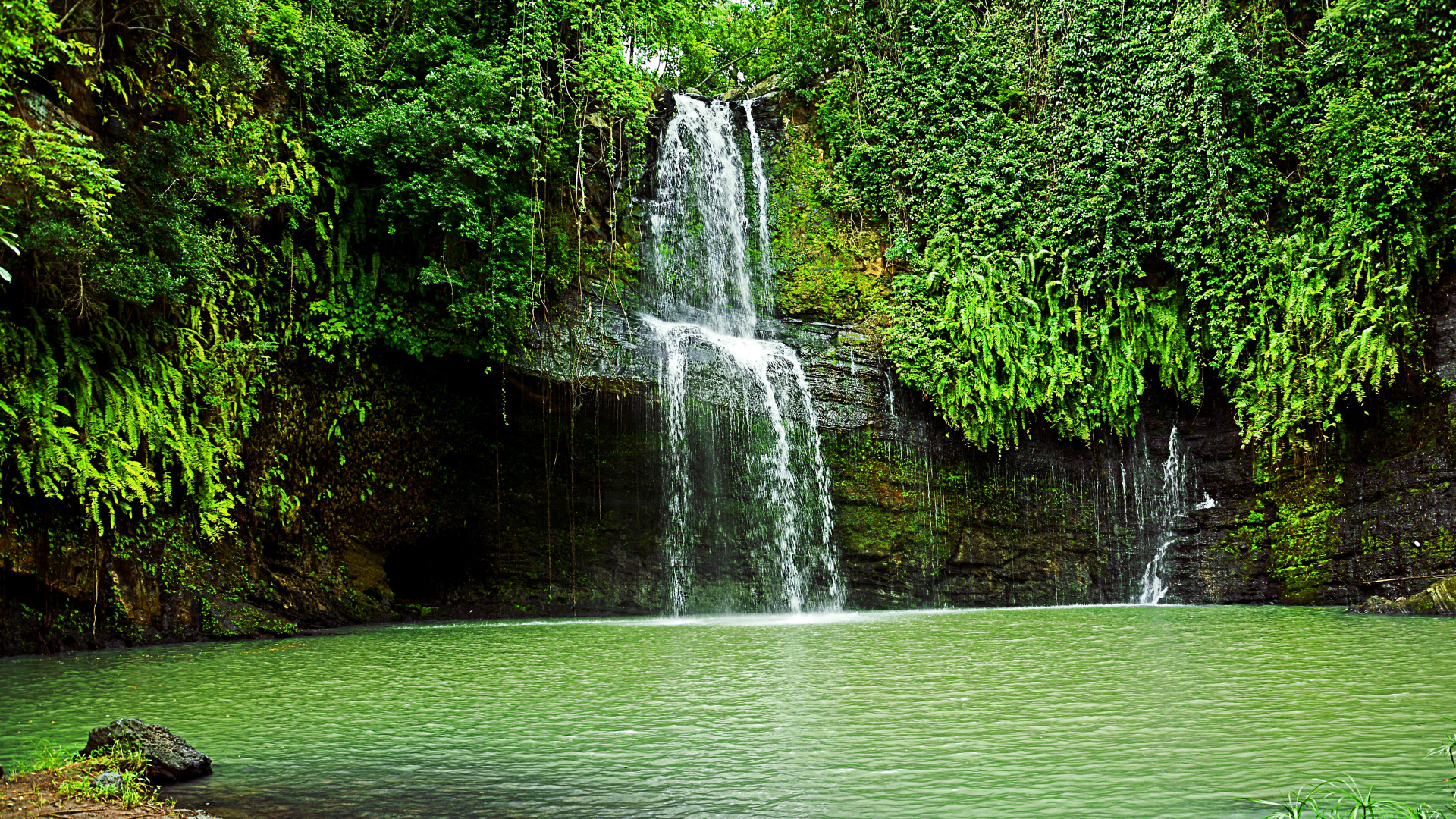Обои водопад, гидроресурсы, водоем, природа, зеленый в разрешении 1920x1080