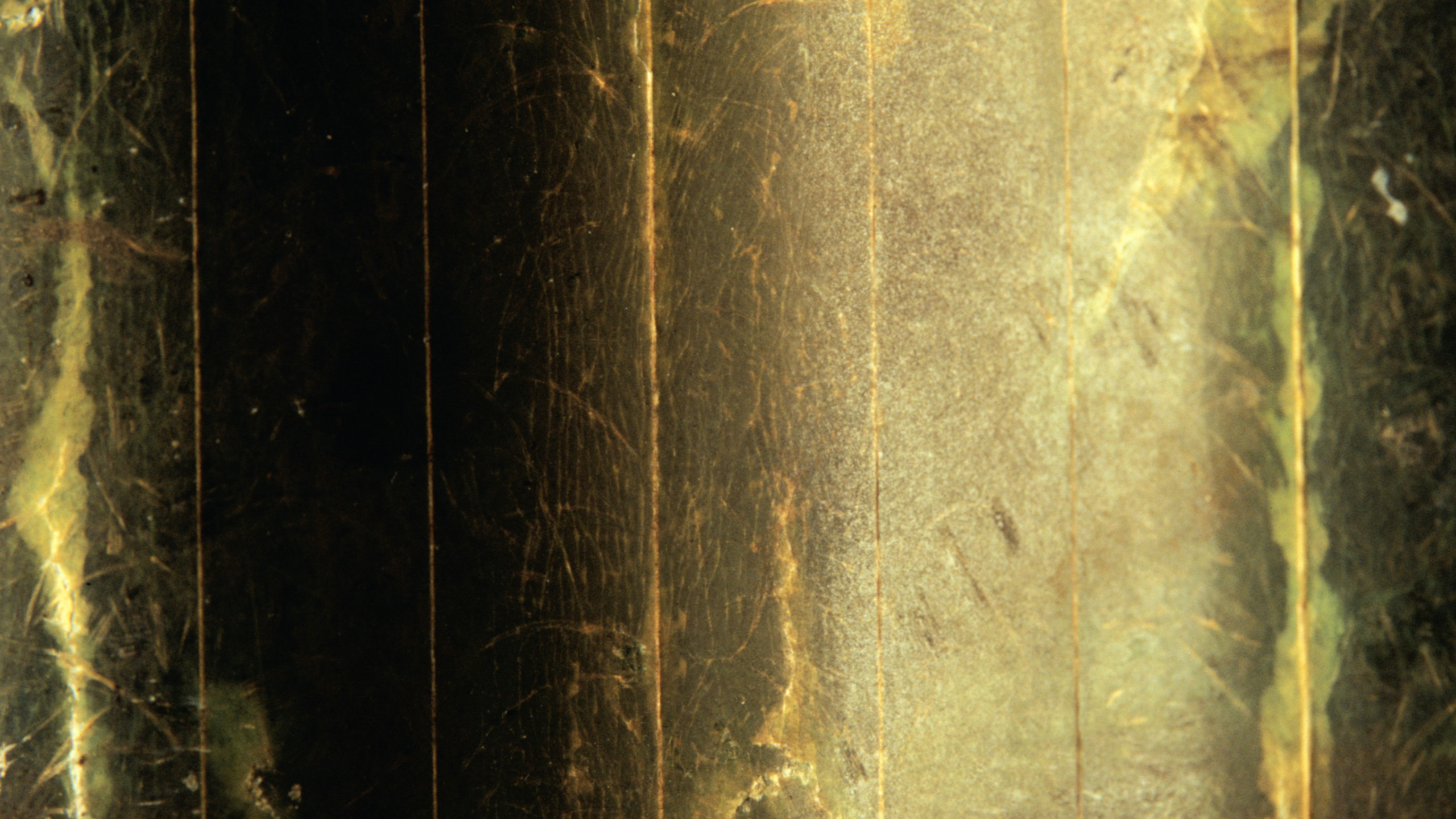 Обои текстура, древесина, дерево, лес, солнечный свет в разрешении 2560x1440