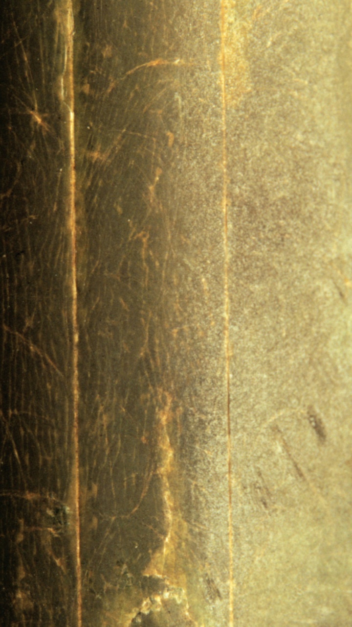 Обои текстура, древесина, дерево, лес, солнечный свет в разрешении 720x1280