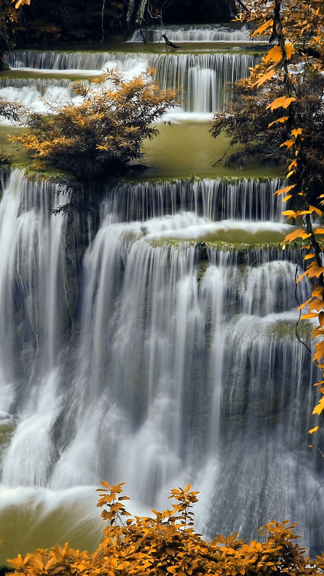 Обои природа, водопад, водоем, вода, лист в разрешении 1080x1920