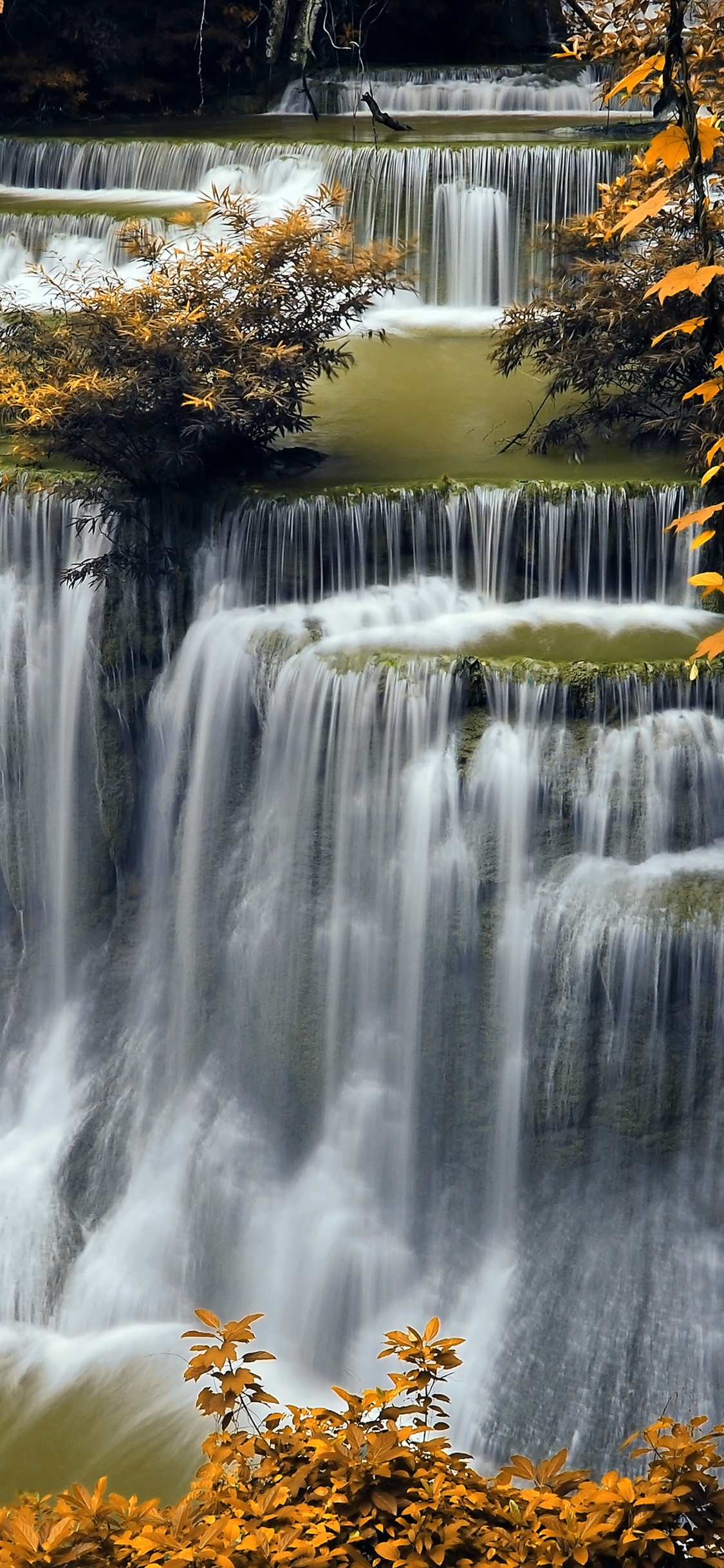 Обои природа, водопад, водоем, вода, лист в разрешении 1125x2436