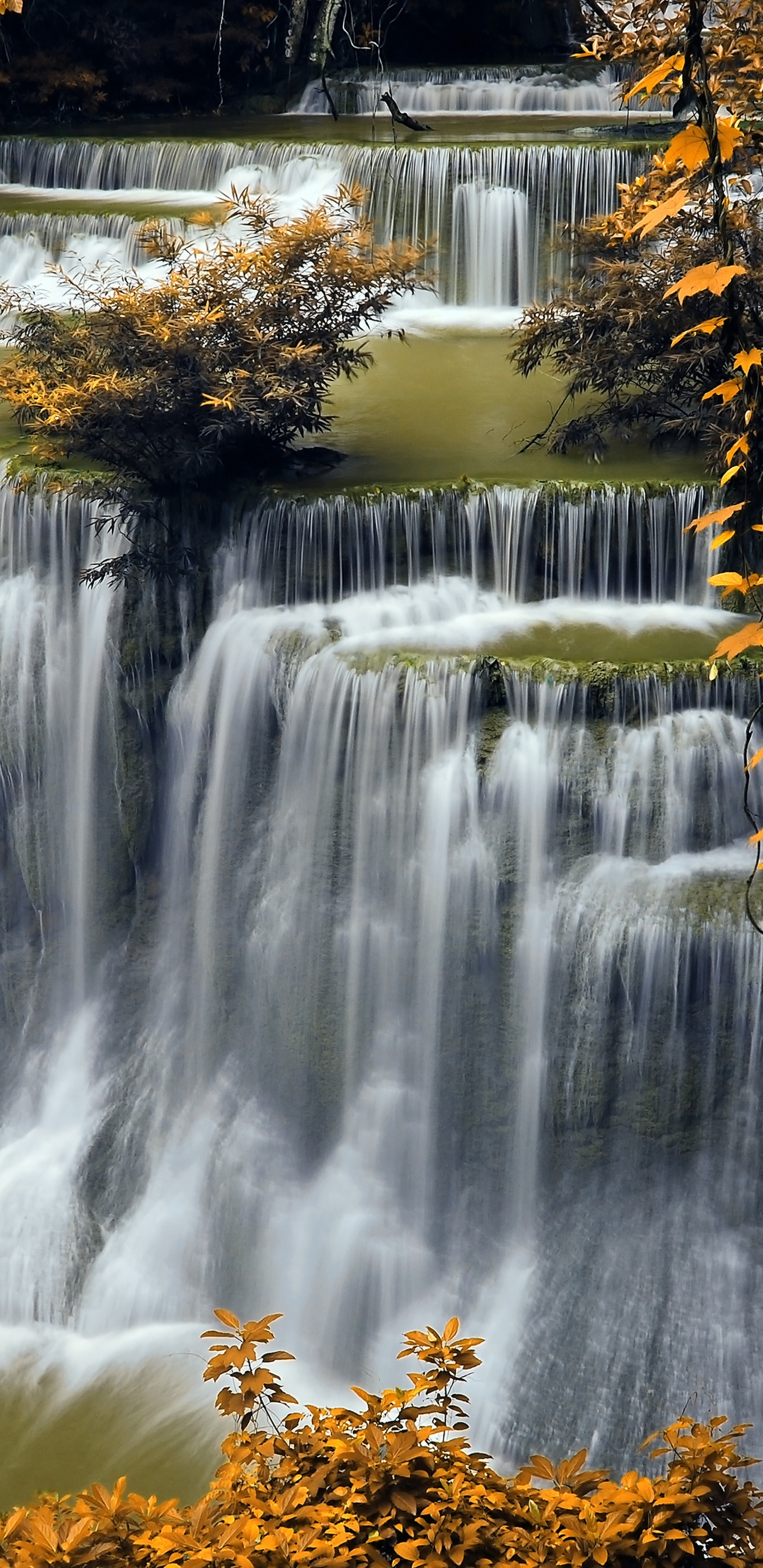 Обои природа, водопад, водоем, вода, лист в разрешении 1440x2960