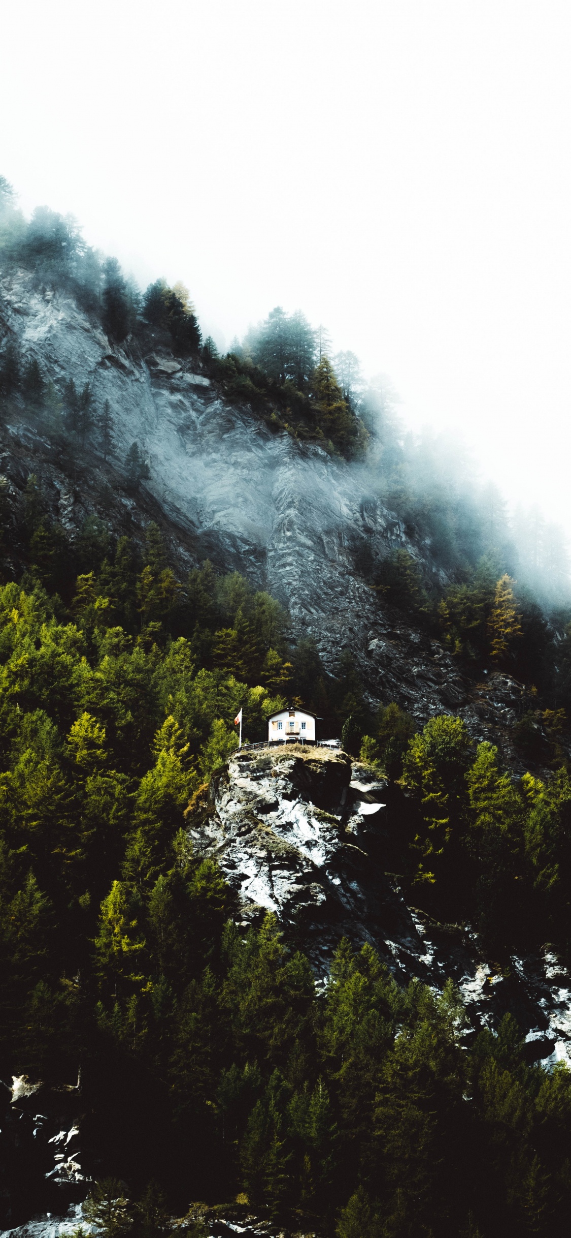 Обои облако, На Behance, небо, растительность, Фольксваген в разрешении 1125x2436