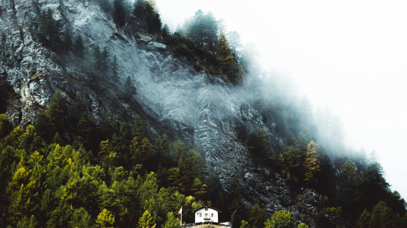 Обои облако, На Behance, небо, растительность, Фольксваген в разрешении 1366x768