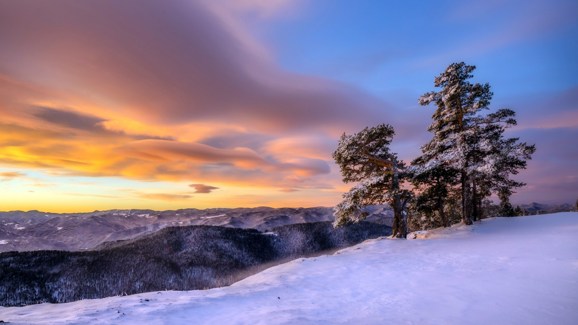 Обои снег, зима, природа, облако, дерево в разрешении 1920x1080