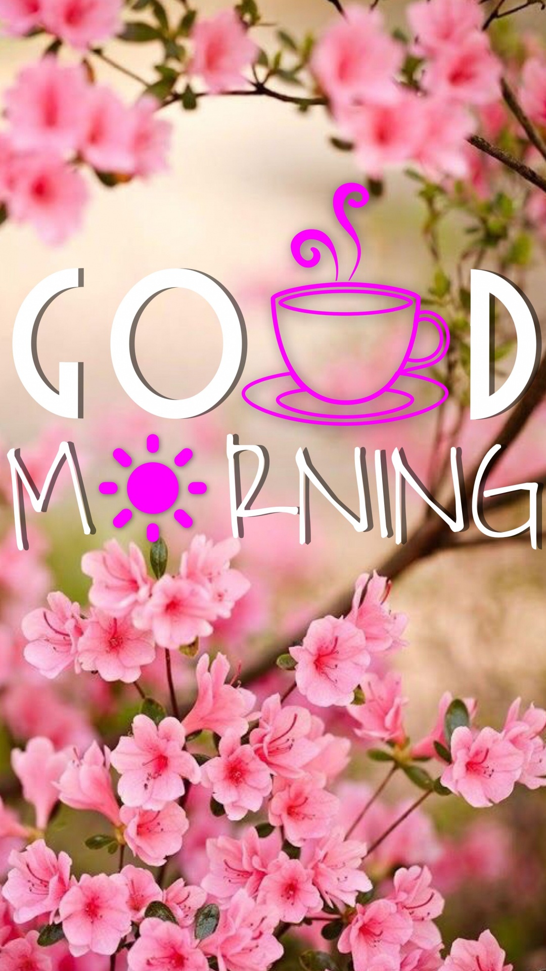 Обои утро, розовый, весна, текст, цветок в разрешении 1080x1920