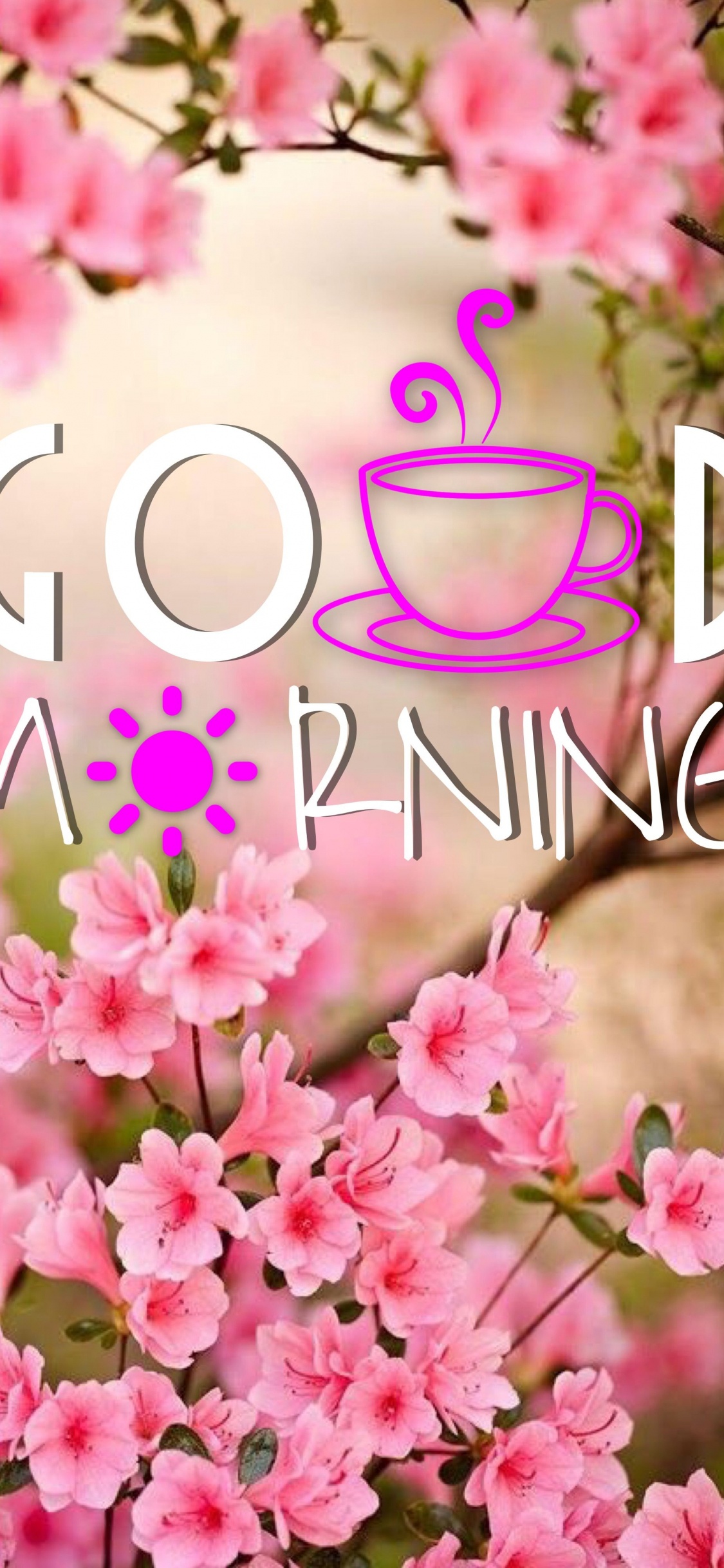 Обои утро, розовый, весна, текст, цветок в разрешении 1125x2436