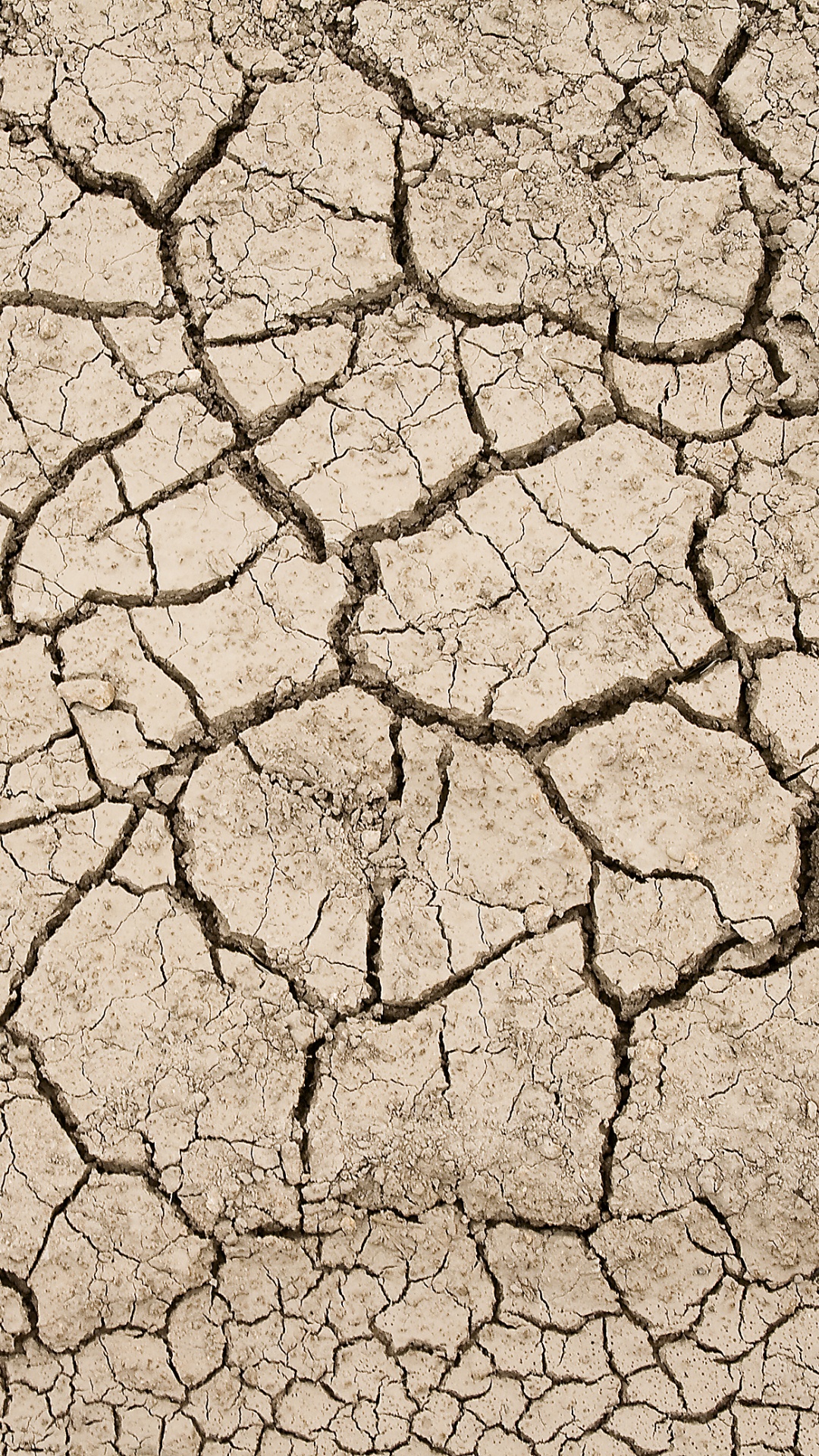 Обои земля, текстура, засуха, почва, узор в разрешении 1080x1920