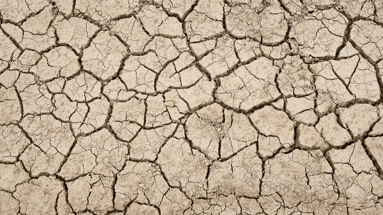 Обои земля, текстура, засуха, почва, узор в разрешении 1280x720