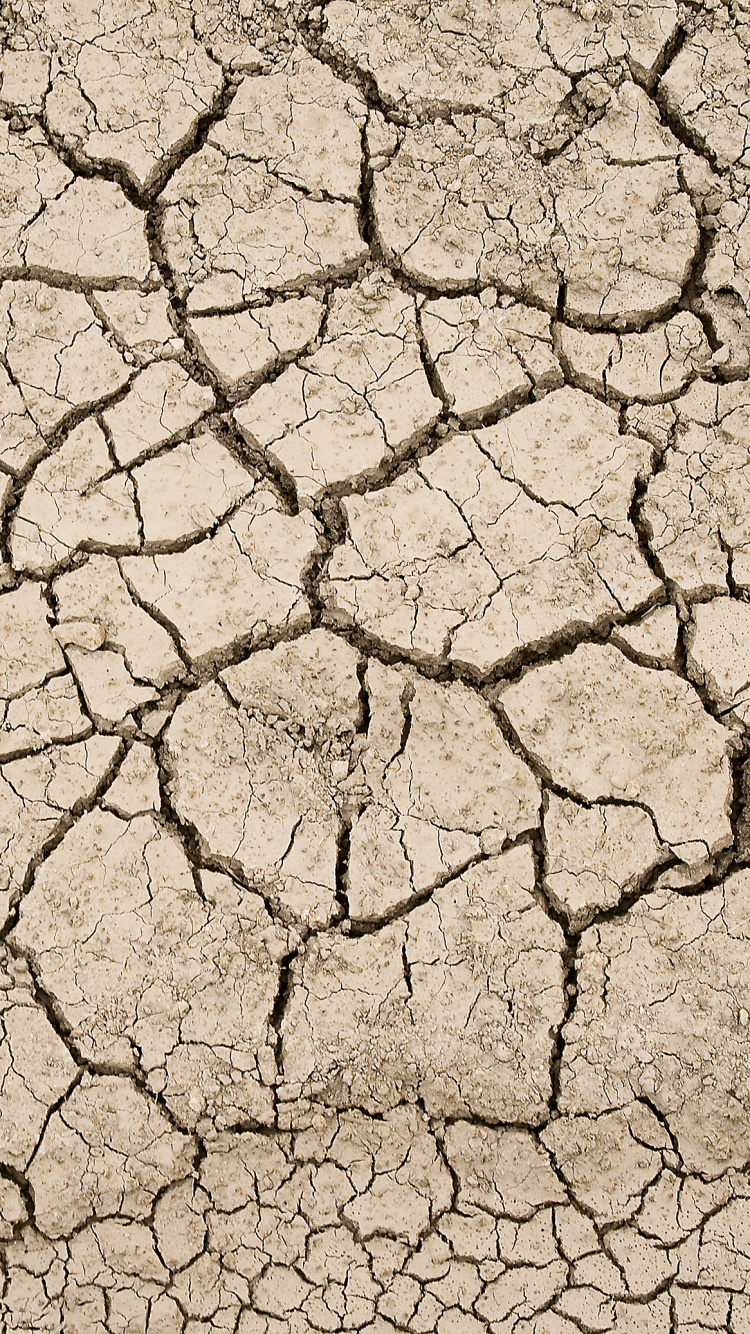 Обои земля, текстура, засуха, почва, узор в разрешении 750x1334