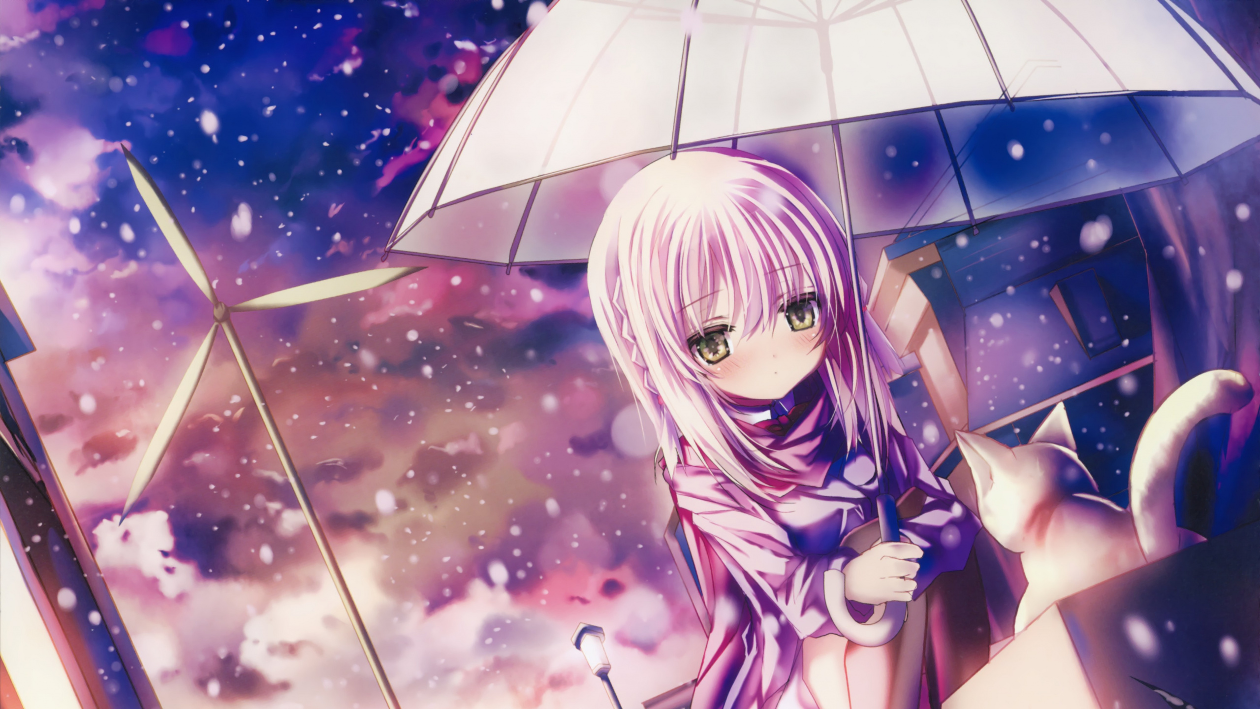 Обои Девушка кошка, аниме, девушка, Мио акияма, рицу tainaka в разрешении 2560x1440