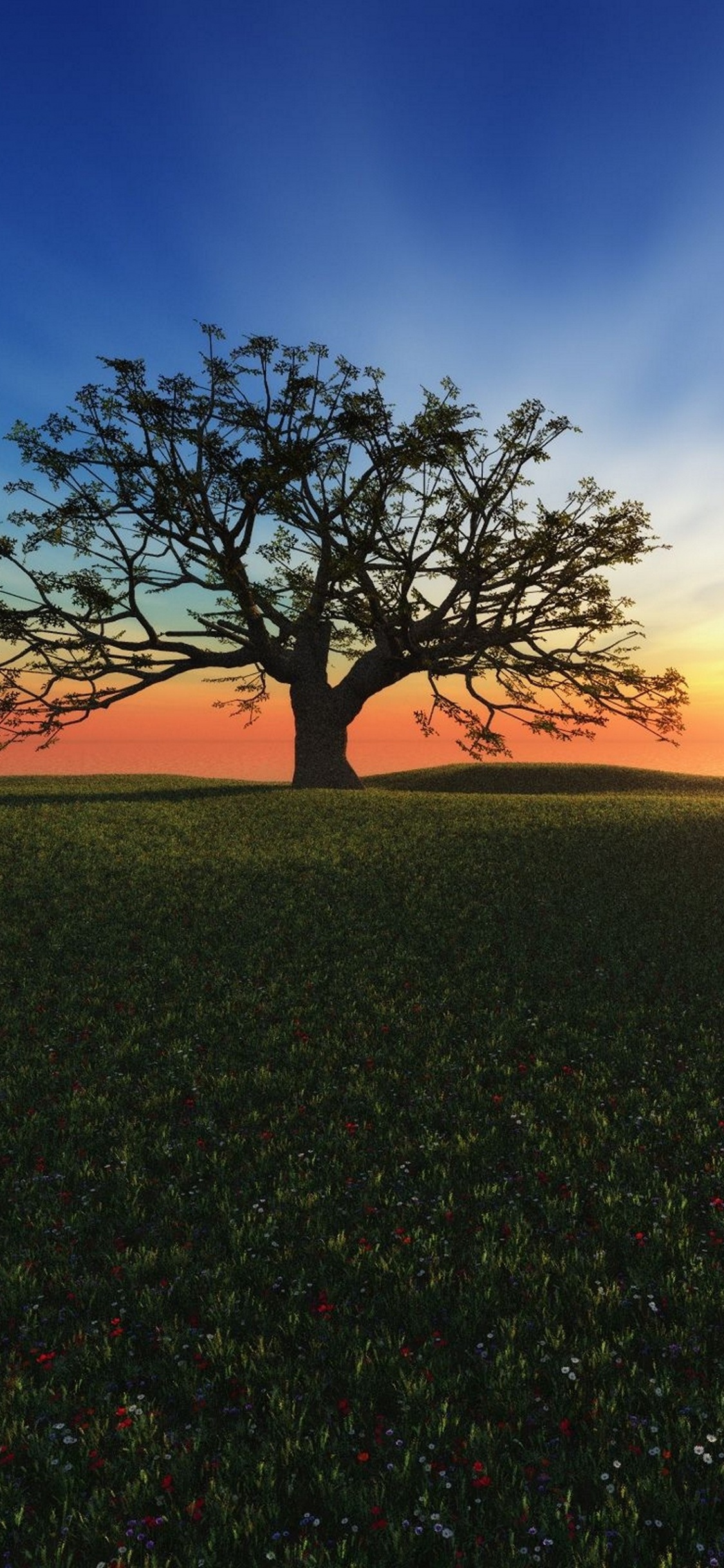 Обои горизонт, дерево, восход солнца, утро, закат в разрешении 1125x2436