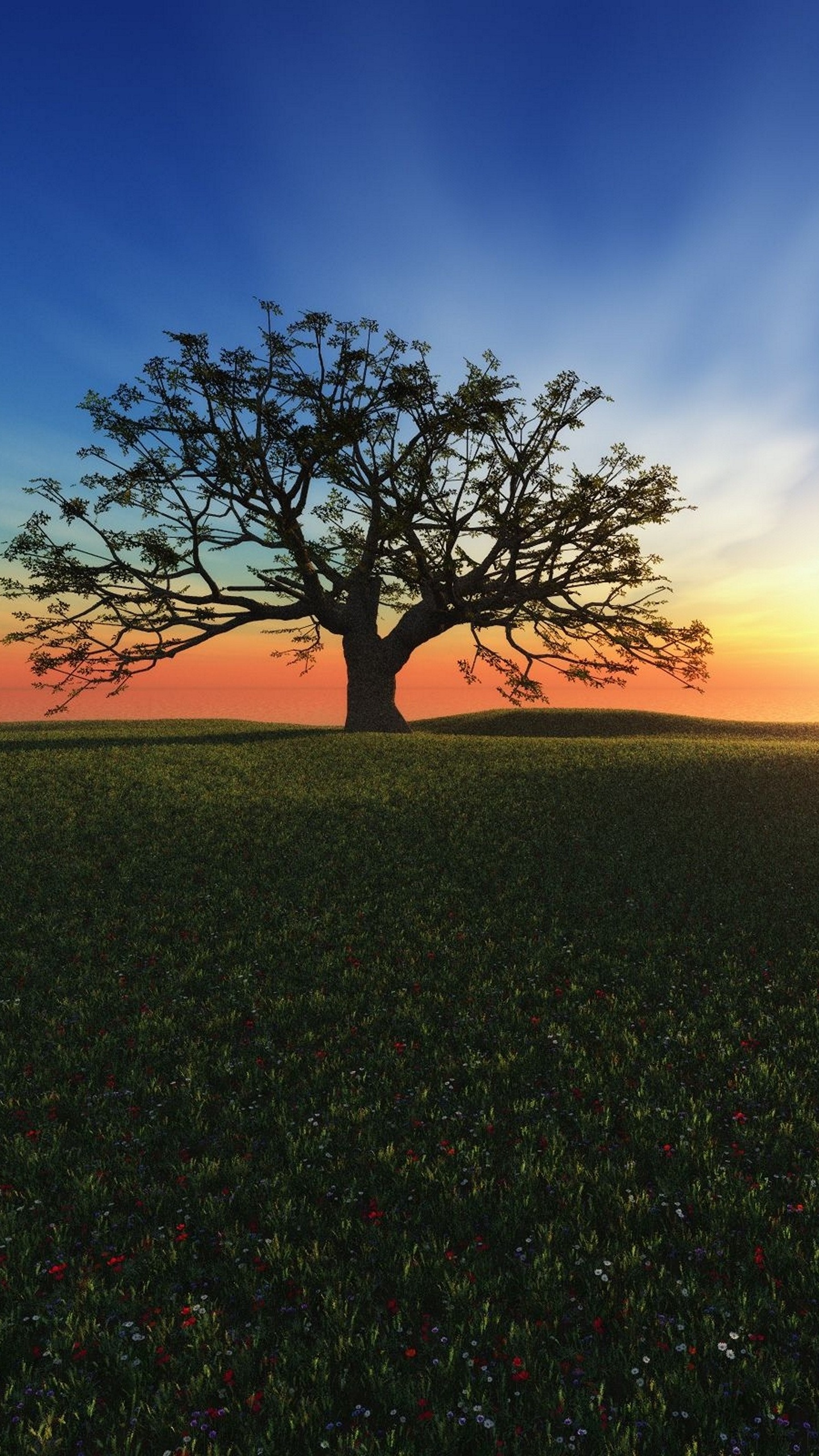 Обои горизонт, дерево, восход солнца, утро, закат в разрешении 1440x2560