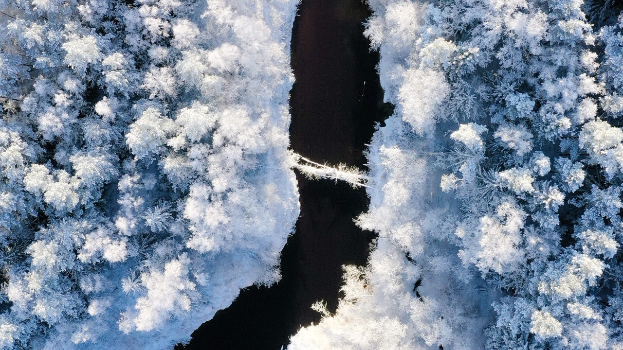 Обои снег, зима, замораживание, мороз, облако в разрешении 1280x720