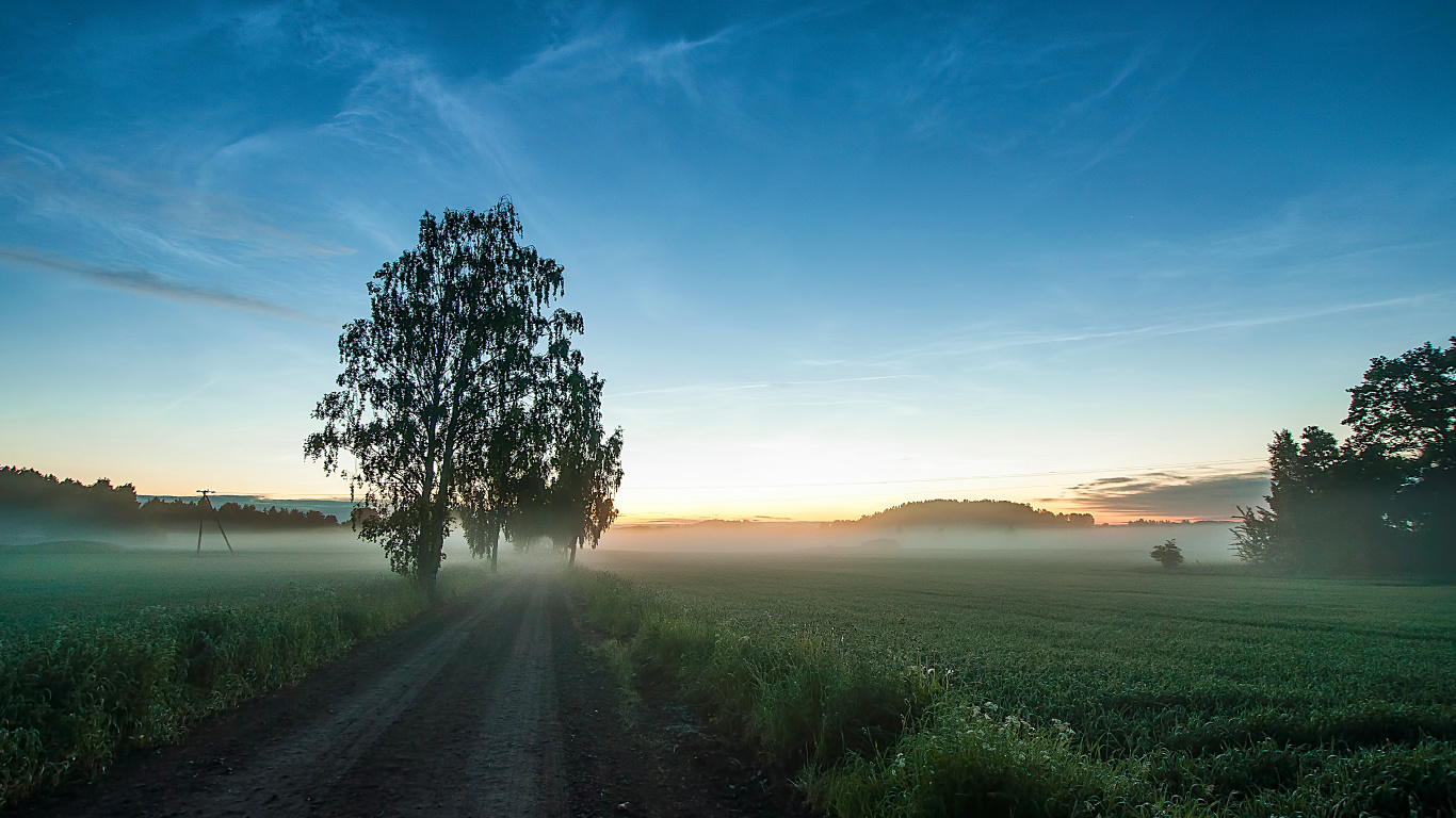 Обои природа, дерево, утро, атмосфера, ночь в разрешении 1366x768