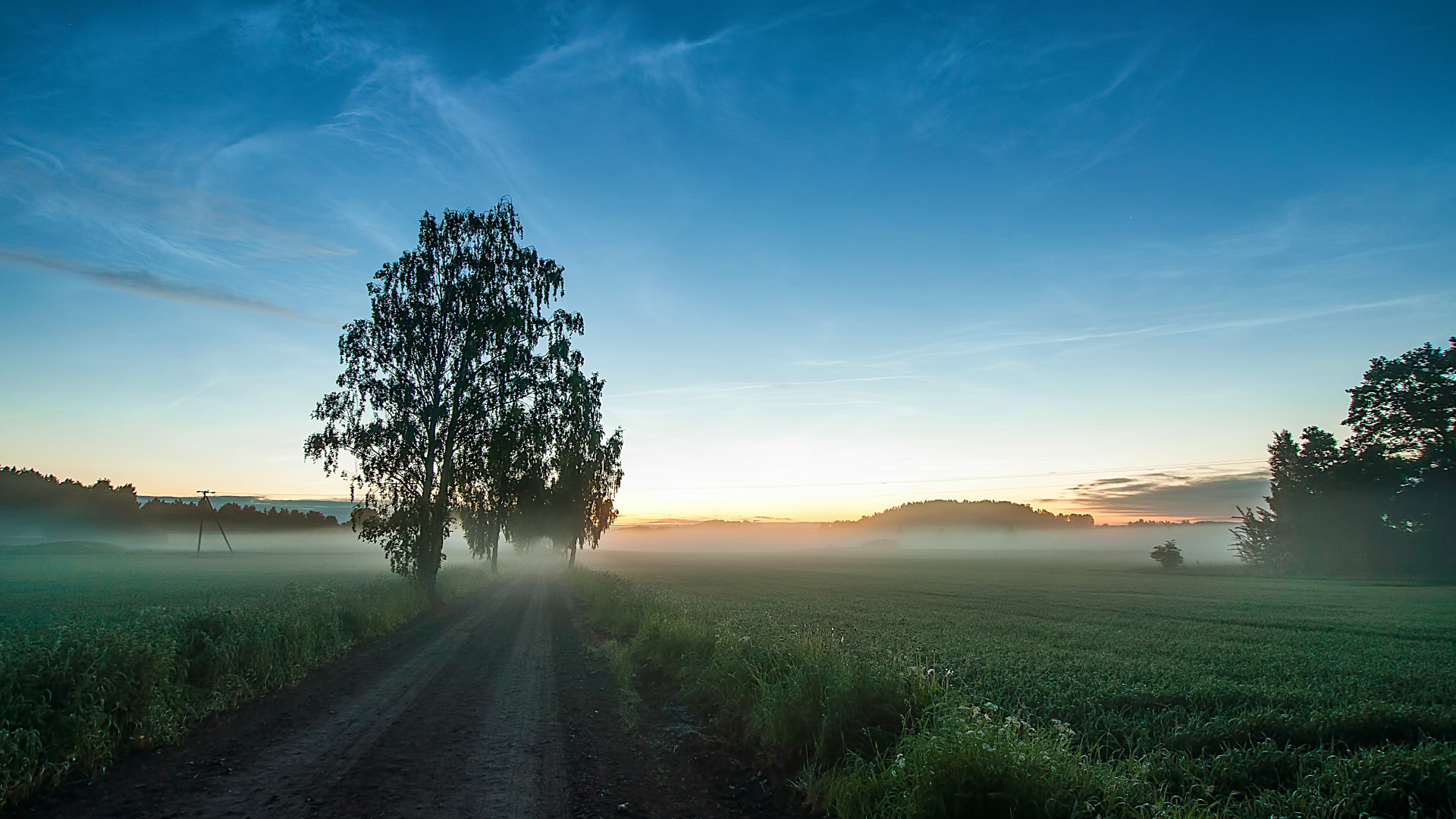 Обои природа, дерево, утро, атмосфера, ночь в разрешении 1920x1080