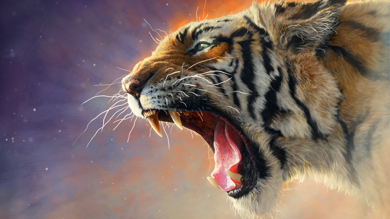 Обои тигр, рев, живая природа, бенгальский тигр, кошачьих в разрешении 1366x768