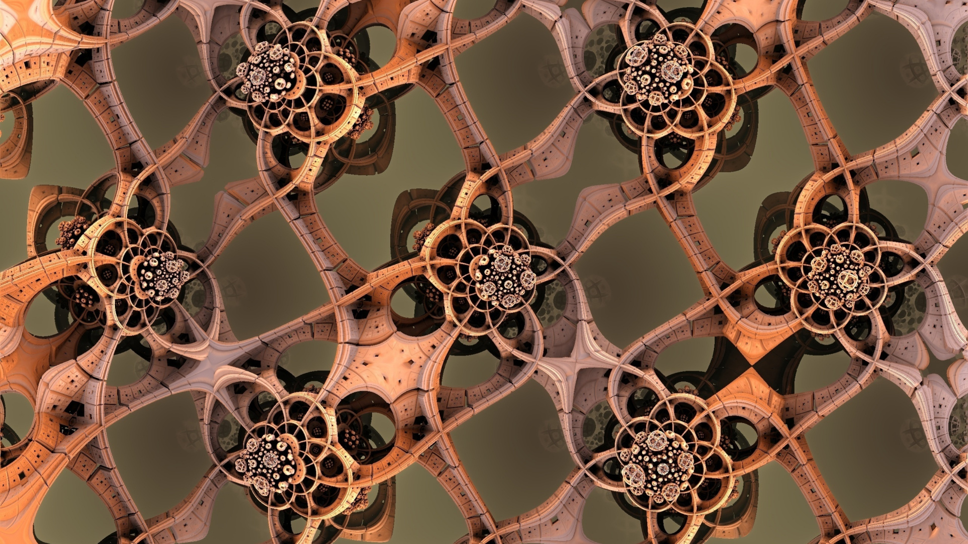 Обои орнамент, свойство, белые, свет, природа в разрешении 1920x1080