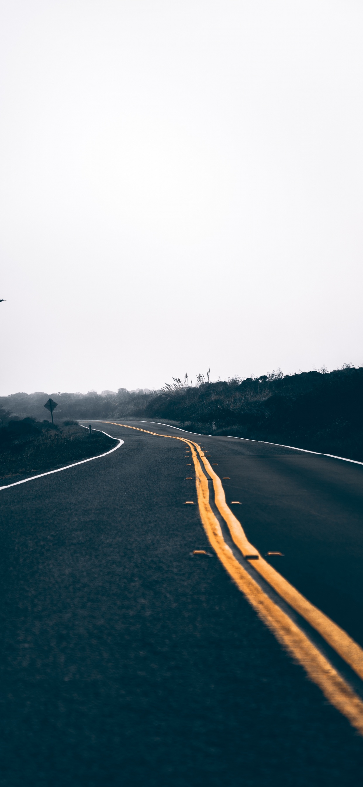 Обои природный ландшафт, магистраль, дерево, асфальт, инфраструктура в разрешении 1242x2688