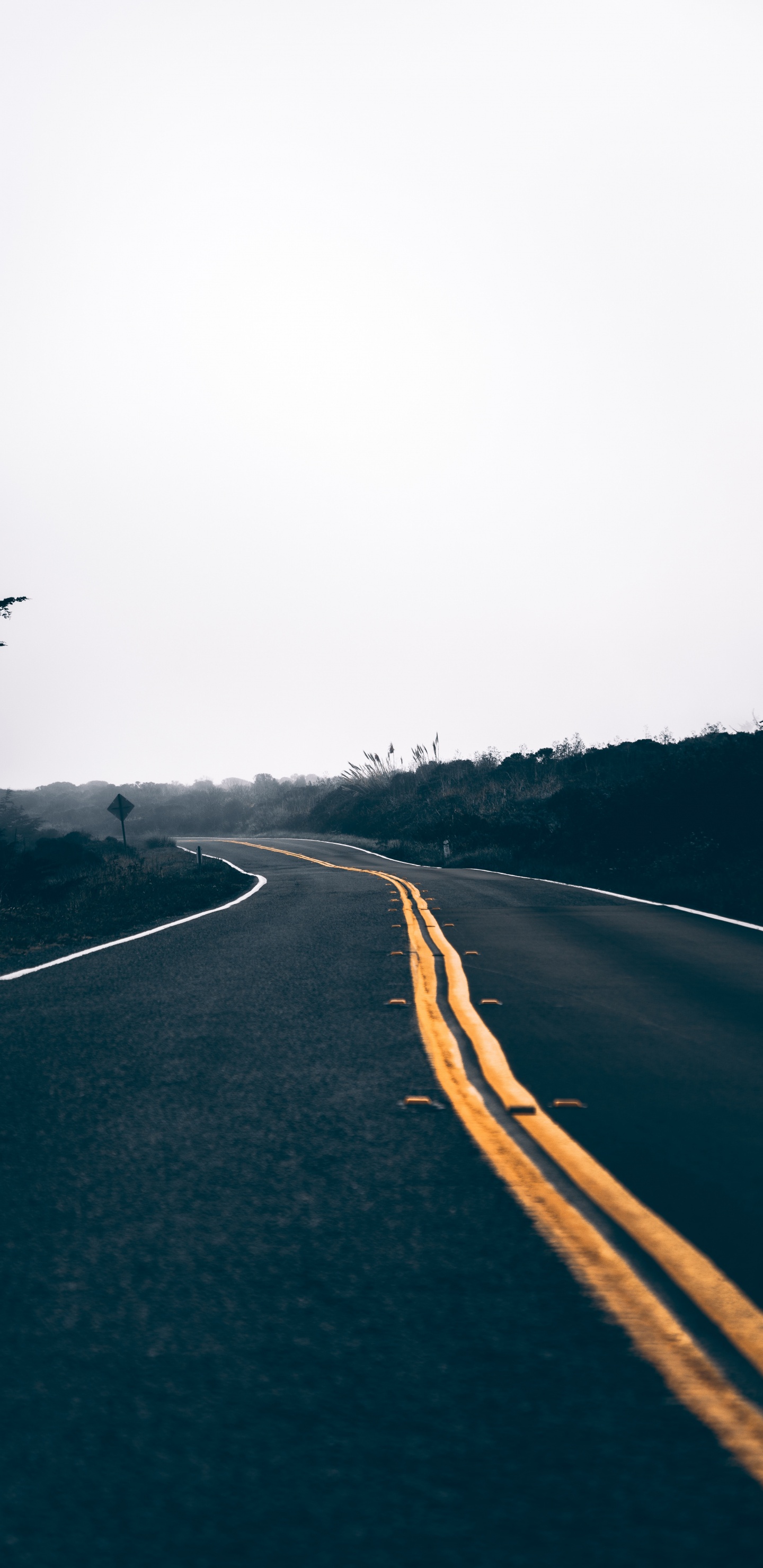 Обои природный ландшафт, магистраль, дерево, асфальт, инфраструктура в разрешении 1440x2960