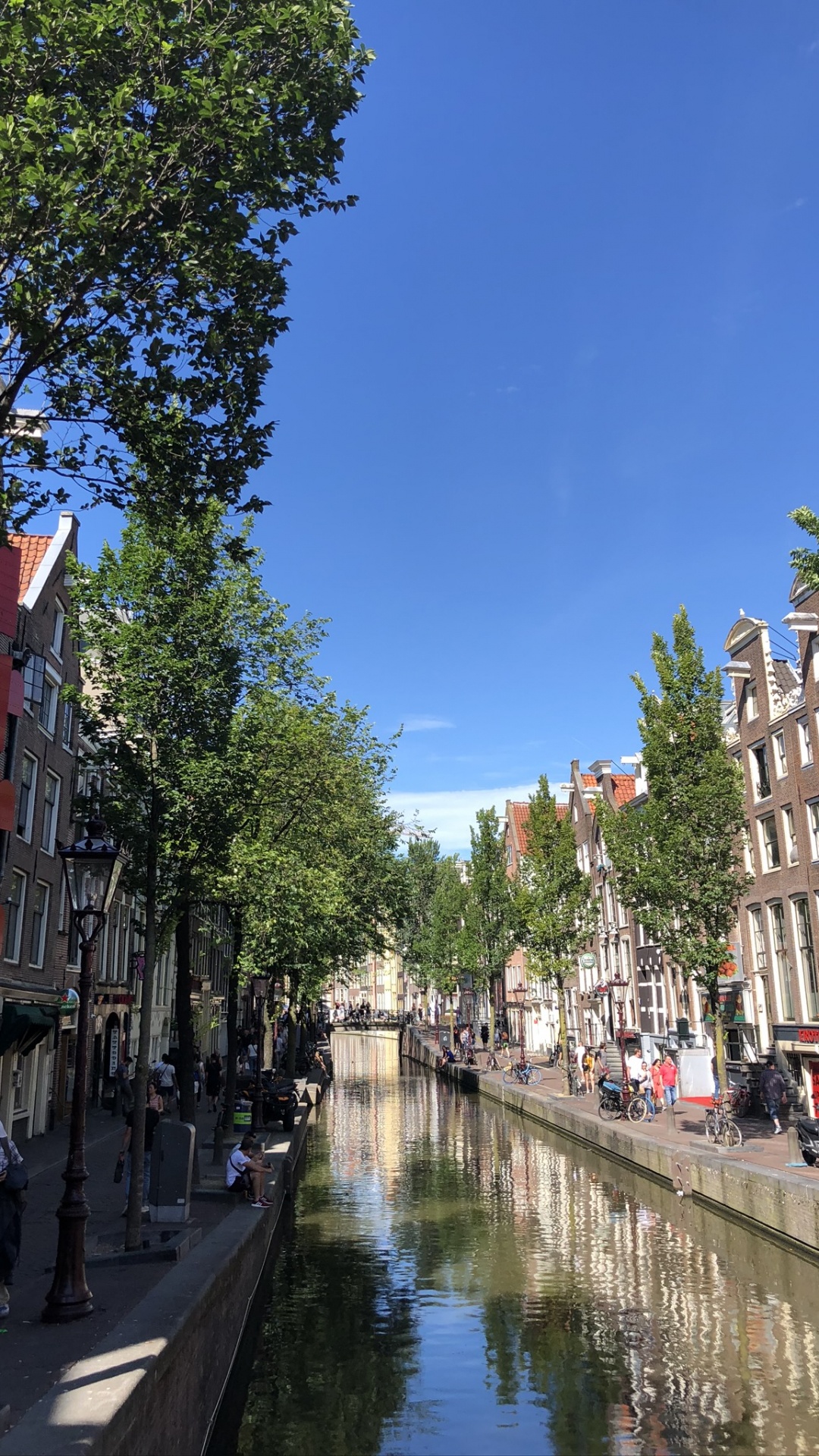 Обои Амстердам, канал, вода, туризм, наука в разрешении 1080x1920
