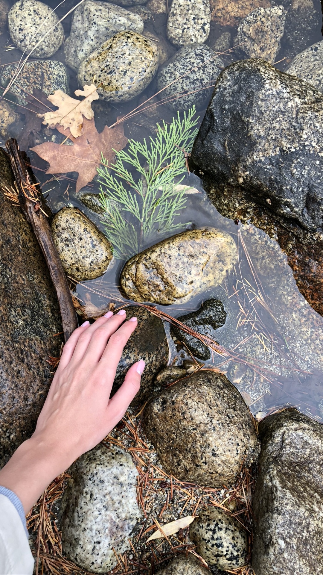 Обои Рука на камнях в реке в разрешении 1080x1920