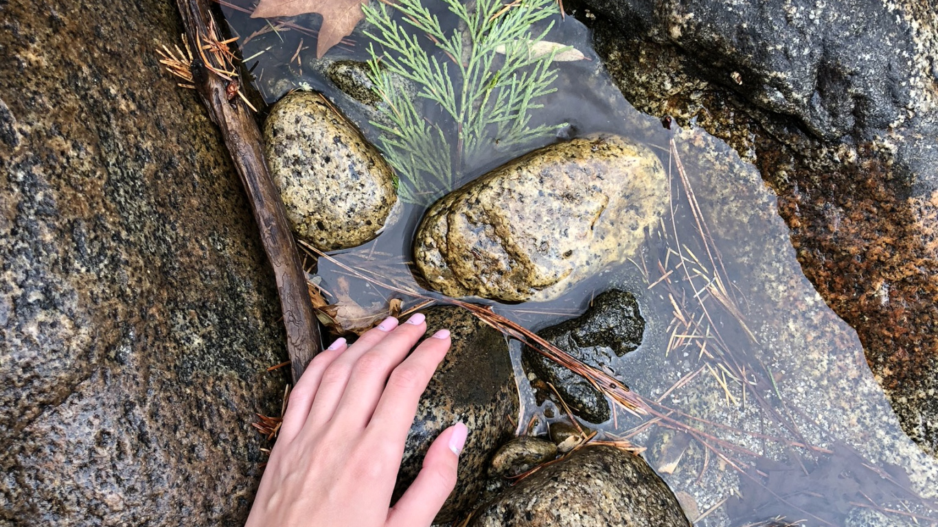 Обои Рука на камнях в реке в разрешении 1366x768