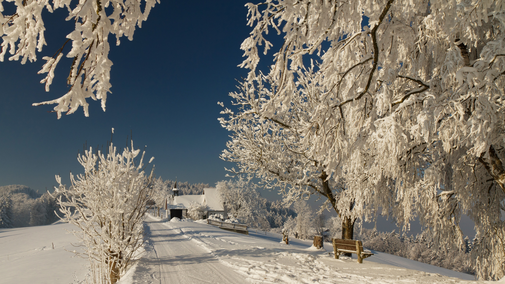 Обои снег, зима, дерево, мороз, замораживание в разрешении 1920x1080