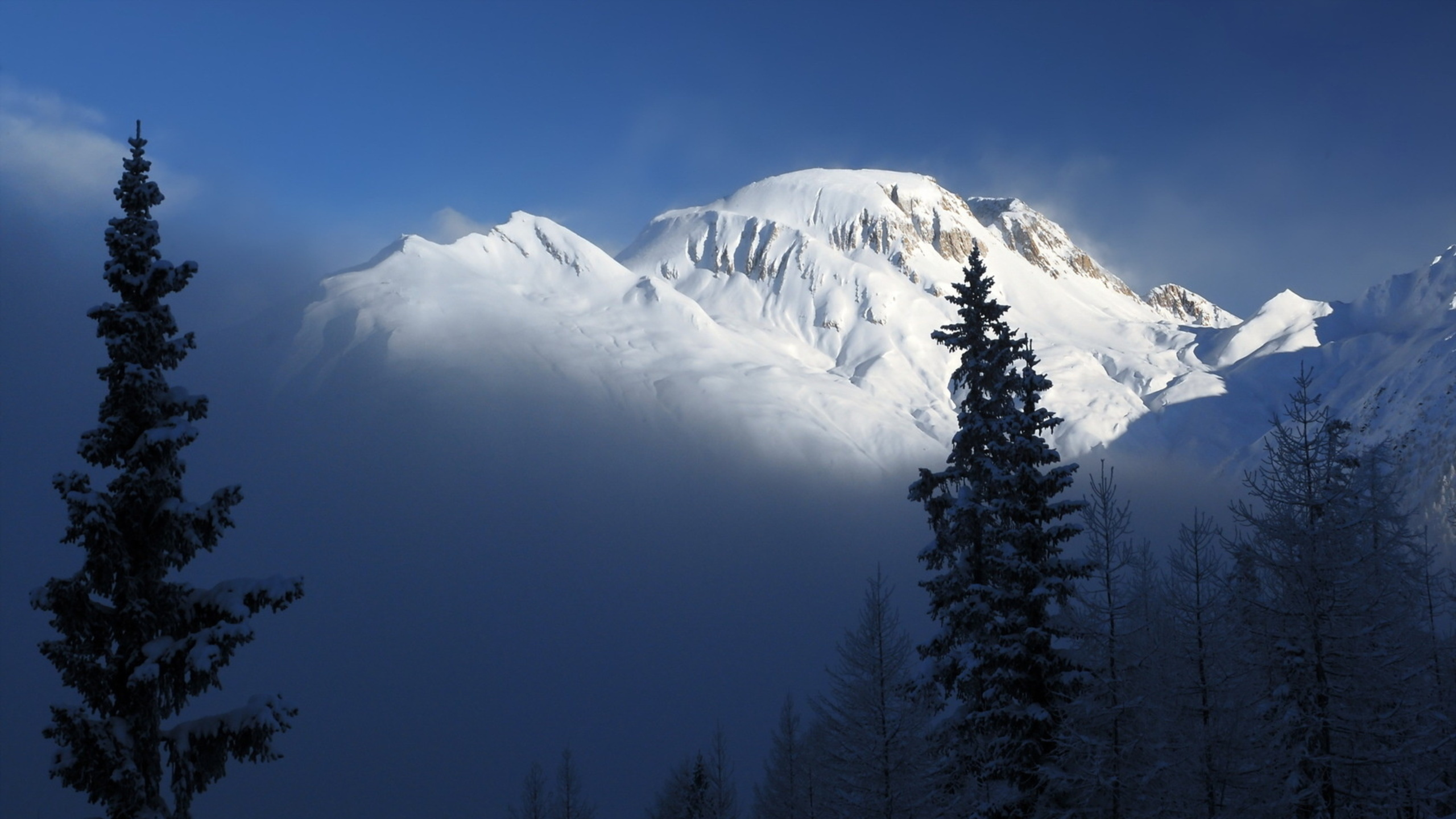 Обои горный рельеф, гора, горный хребет, дерево, дикая местность в разрешении 2560x1440