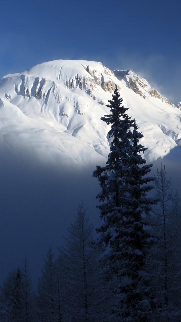 Обои горный рельеф, гора, горный хребет, дерево, дикая местность в разрешении 720x1280