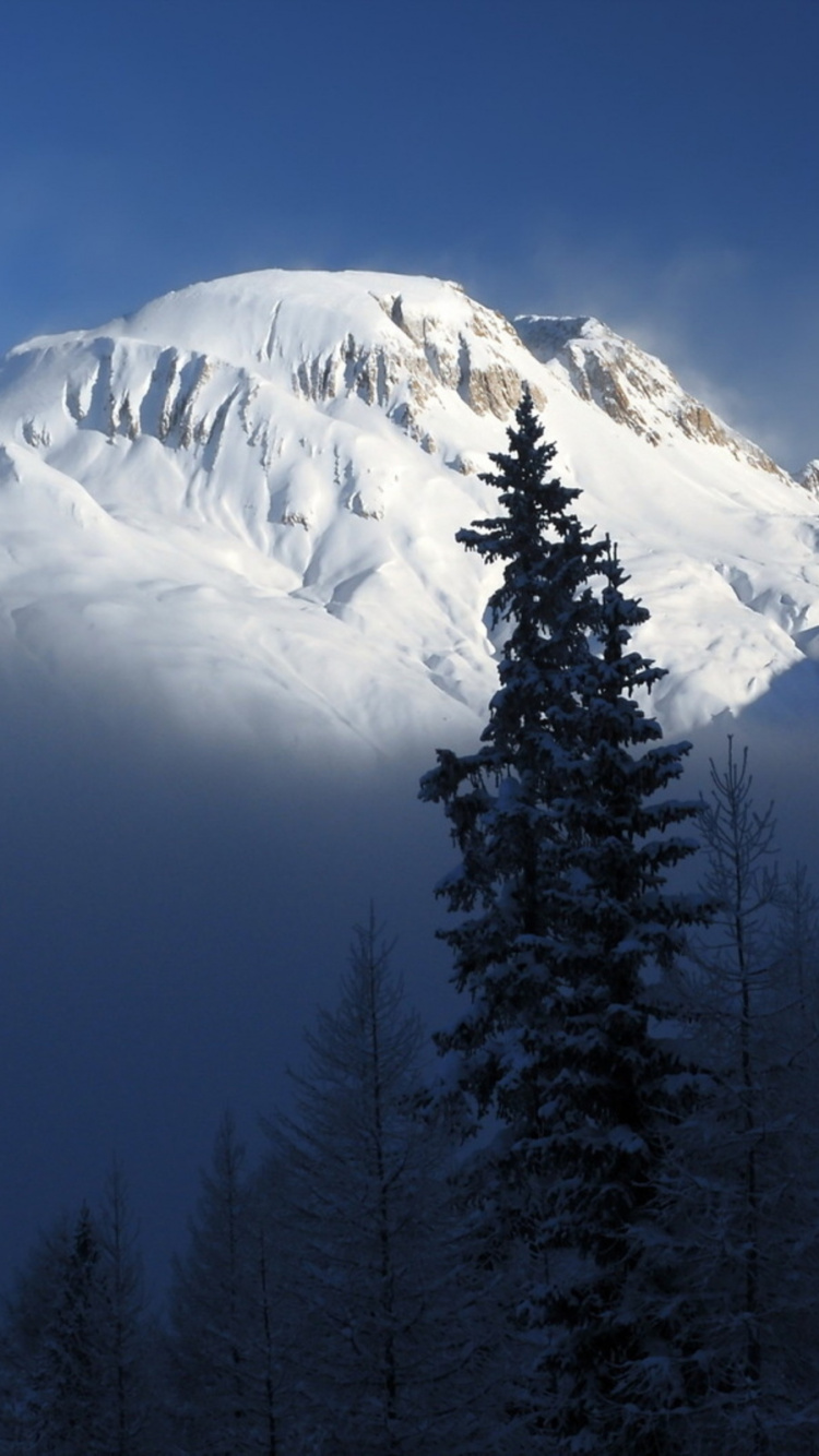 Обои горный рельеф, гора, горный хребет, дерево, дикая местность в разрешении 750x1334
