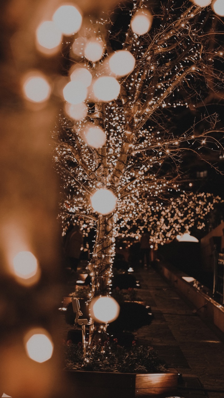 Обои свет, елка, Компания Fujifilm, Рождество, Рождественские огни в разрешении 720x1280