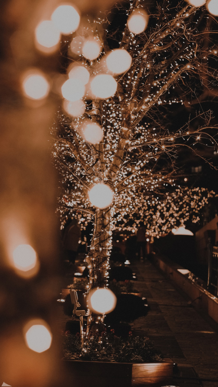 Обои свет, елка, Компания Fujifilm, Рождество, Рождественские огни в разрешении 750x1334