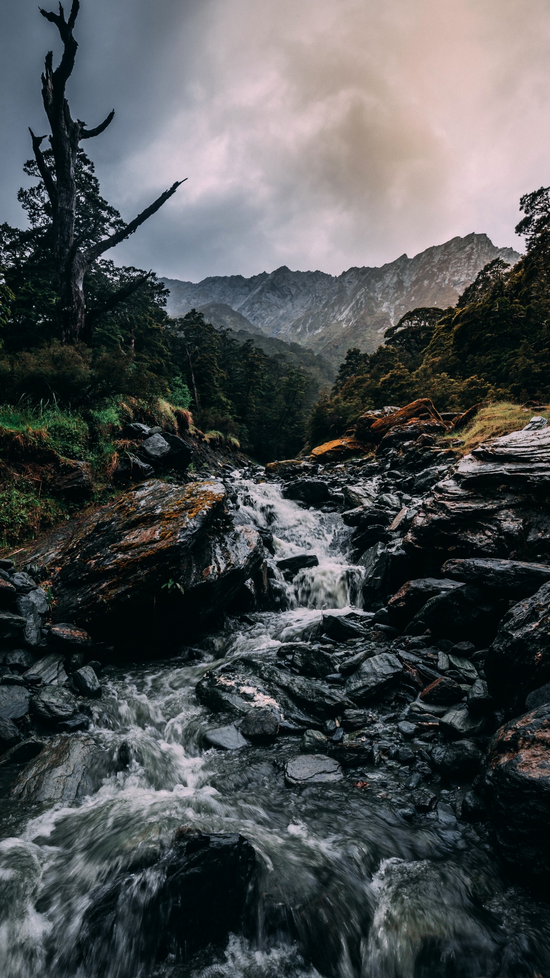 Обои природа, водопад, облако, вода, растение в разрешении 1080x1920