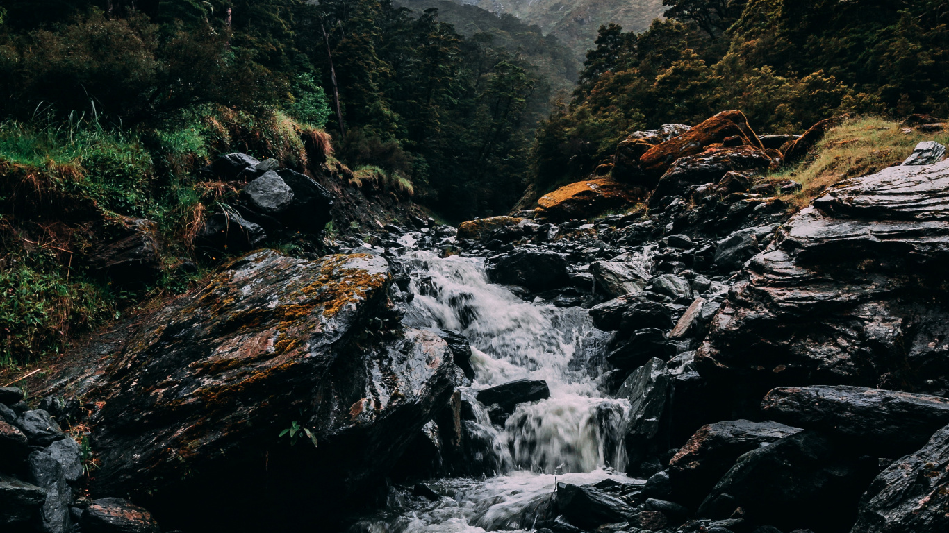 Обои природа, водопад, облако, вода, растение в разрешении 1366x768