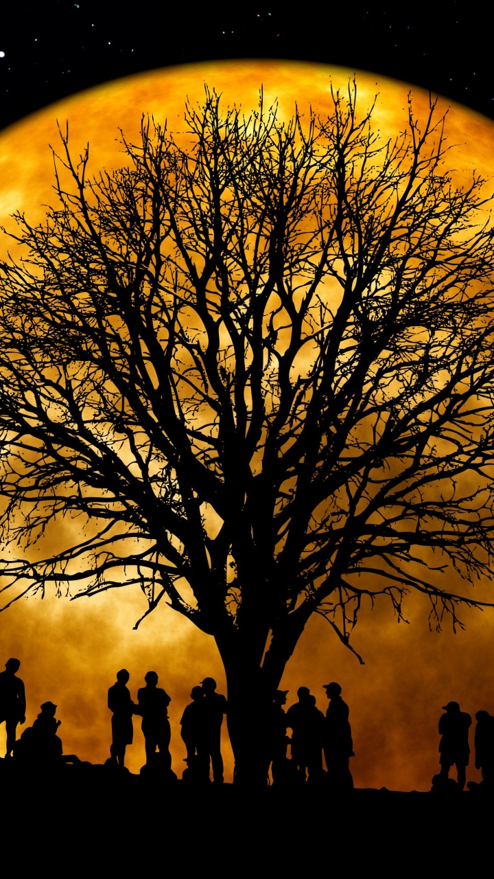 Обои суперлуние, солнечное затмение, луна, земля, Лунная фаза в разрешении 720x1280