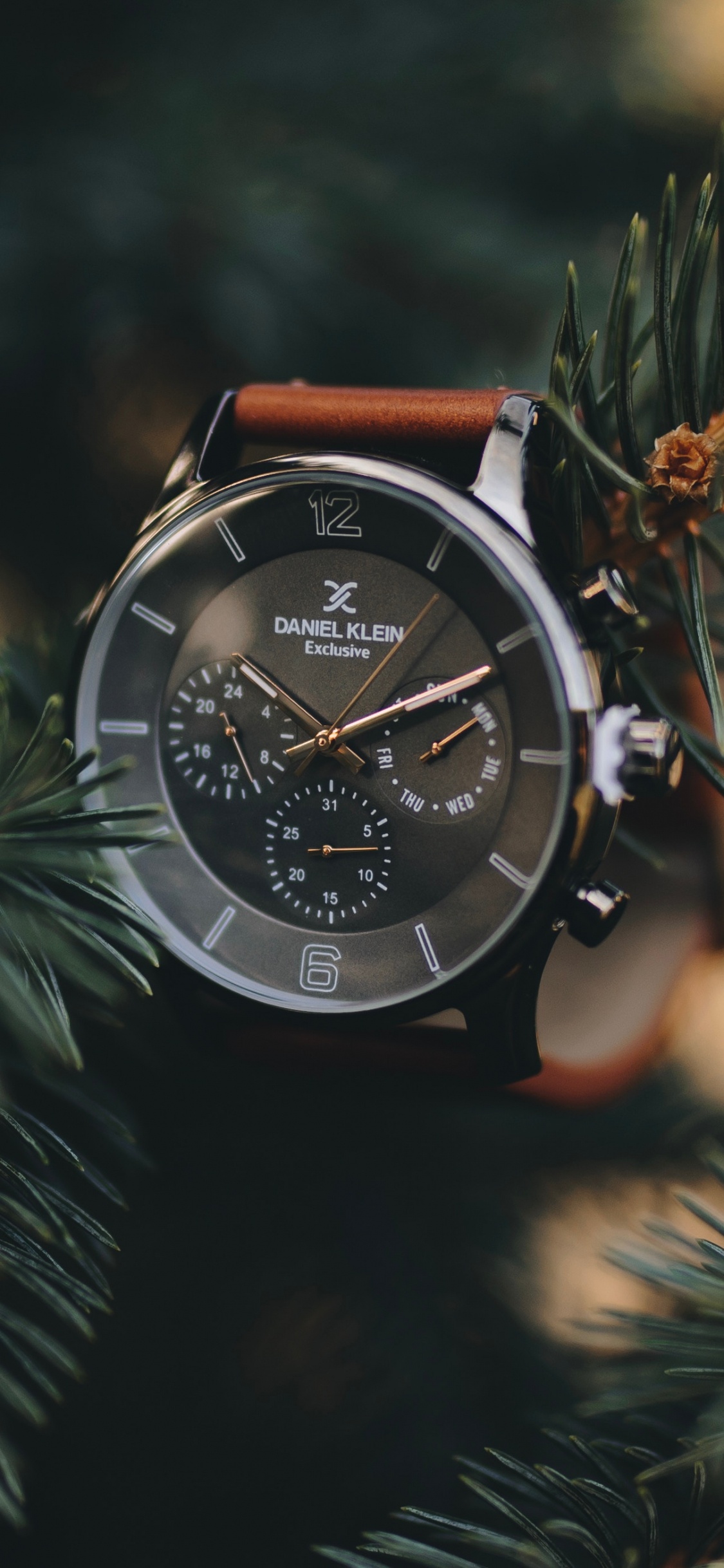 Обои часы, Даниэль Кляйн, рождественский орнамент, дерево, растение в разрешении 1125x2436