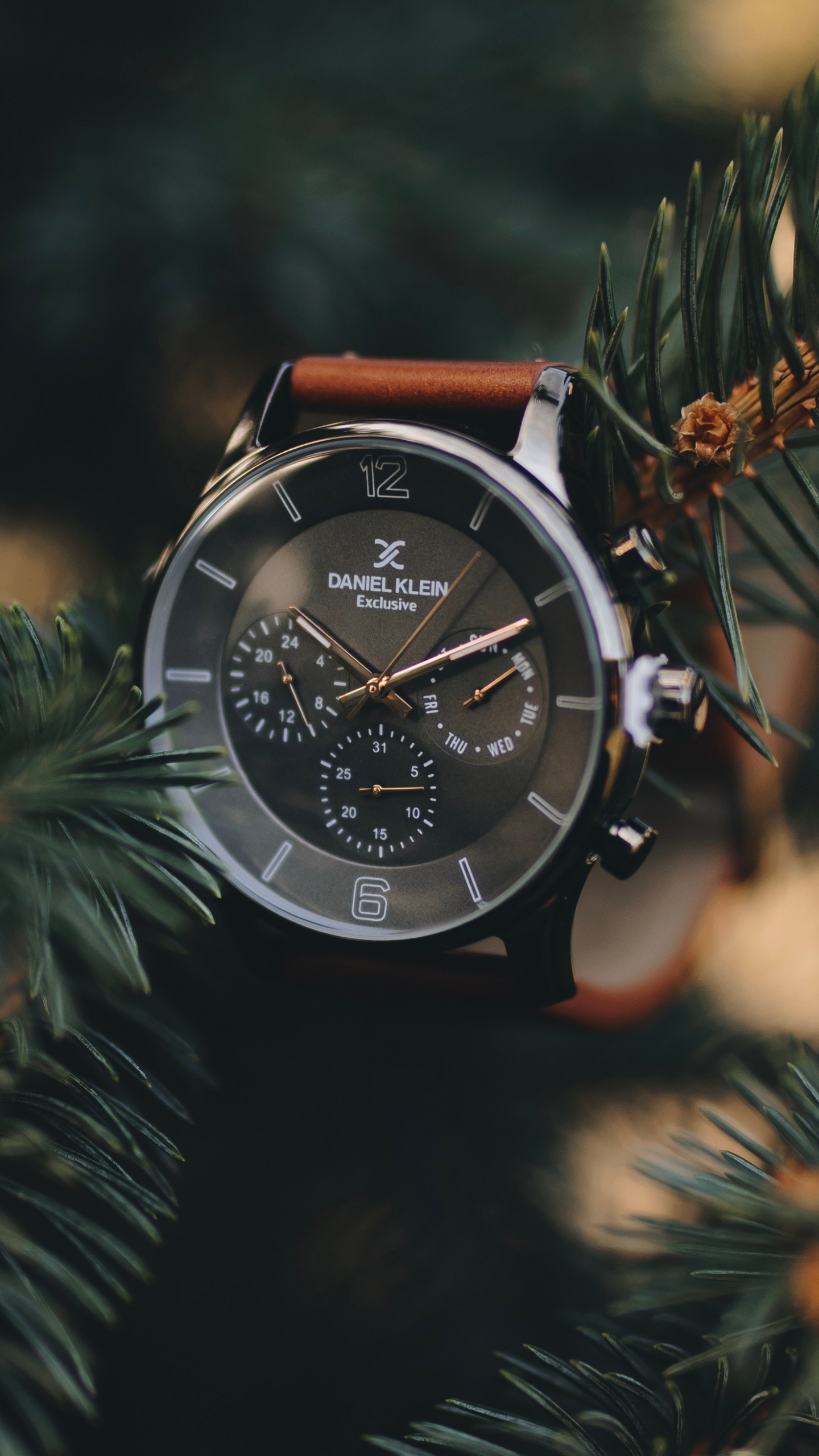 Обои часы, Даниэль Кляйн, рождественский орнамент, дерево, растение в разрешении 1440x2560