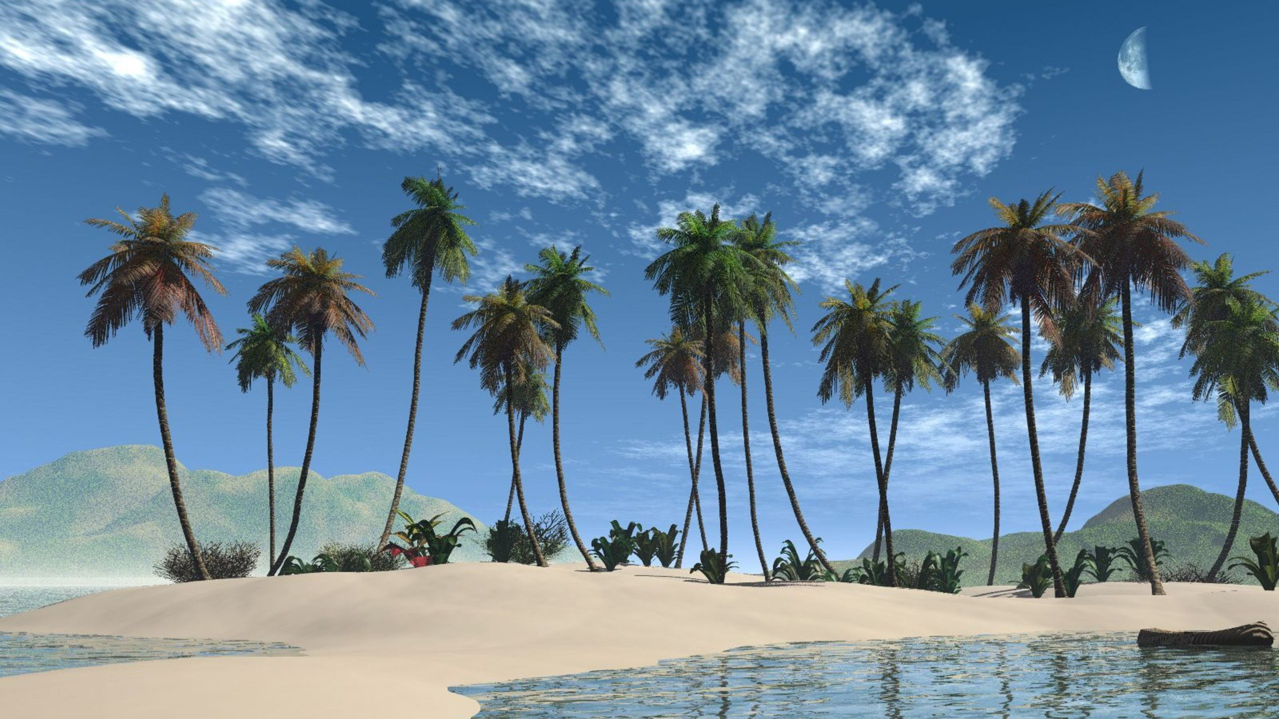 Обои тропическая зона, дерево, Пальма, Карибский бассейн, пляж в разрешении 2560x1440