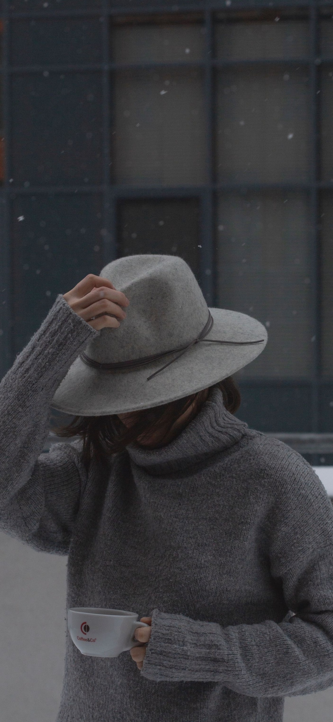 Обои шляпа, шапка, солнце шляпа, фетровая, рукав в разрешении 1125x2436