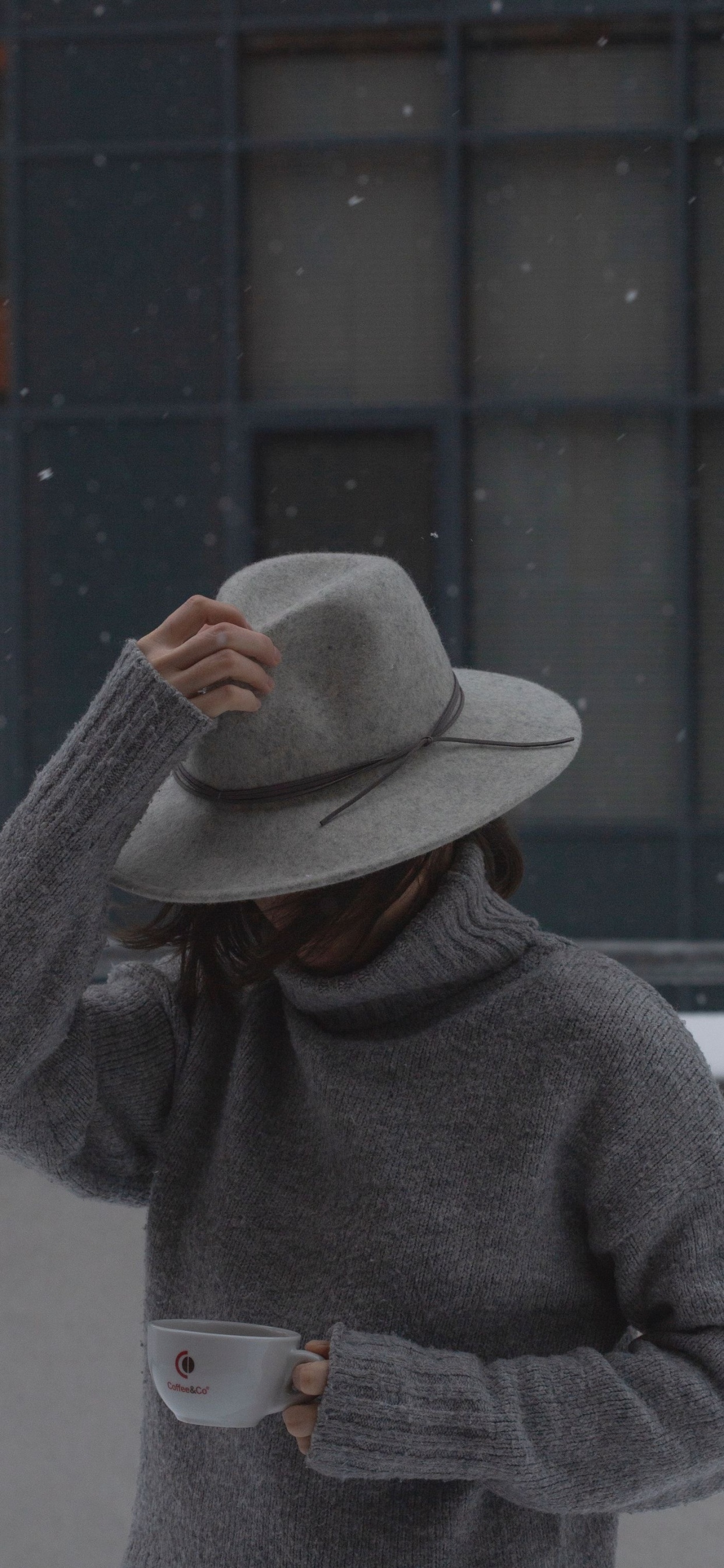 Обои шляпа, шапка, солнце шляпа, фетровая, рукав в разрешении 1242x2688