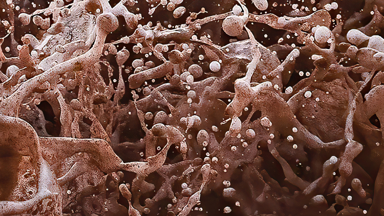 Обои древесина, коричневый цвет, вода, окружающая среда, водоем в разрешении 1280x720