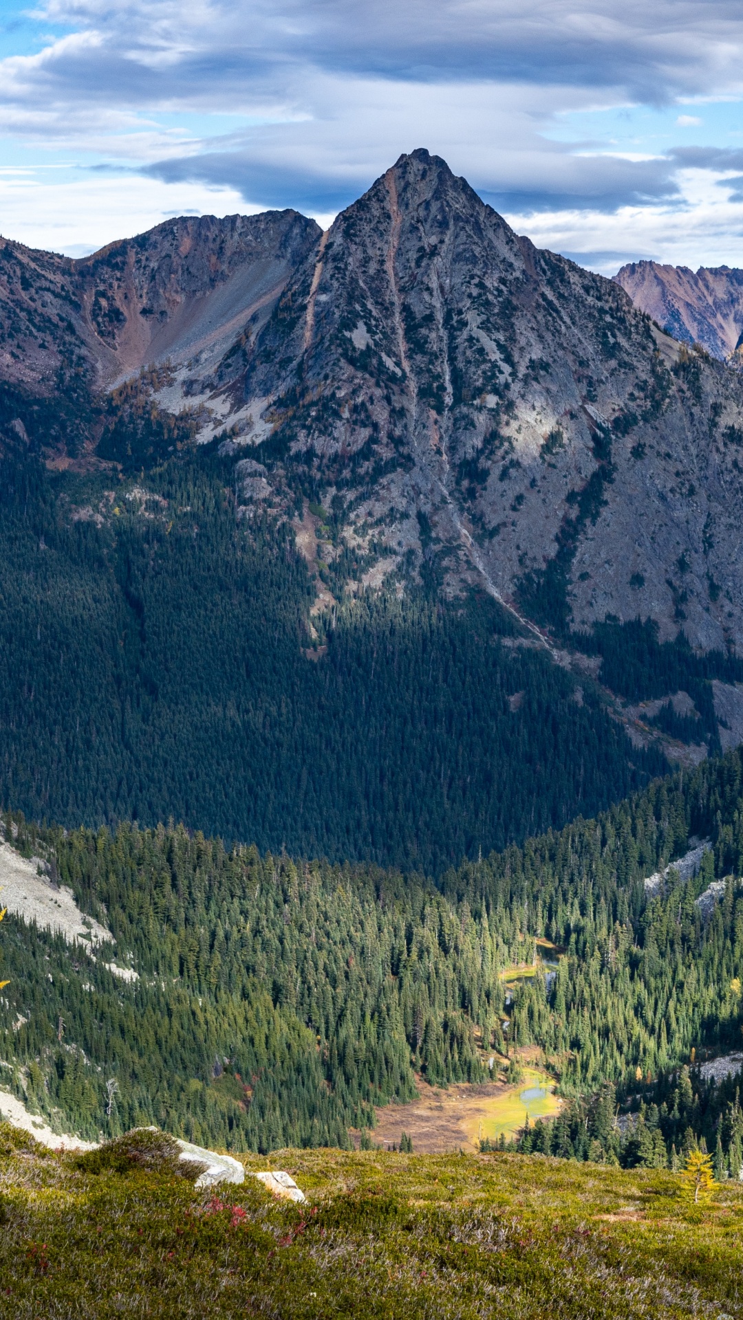 Обои Национальный лес Оканоган-Венатчи, облако, растение, гора, природный ландшафт в разрешении 1080x1920