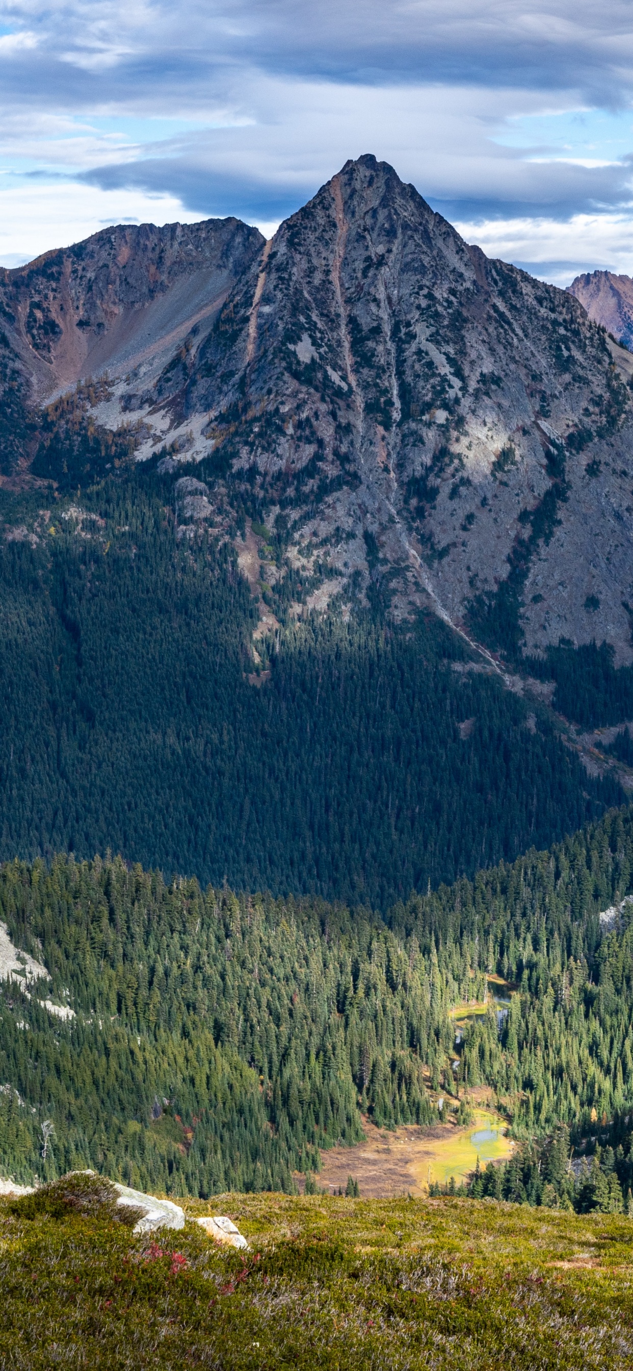 Обои Национальный лес Оканоган-Венатчи, облако, растение, гора, природный ландшафт в разрешении 1242x2688