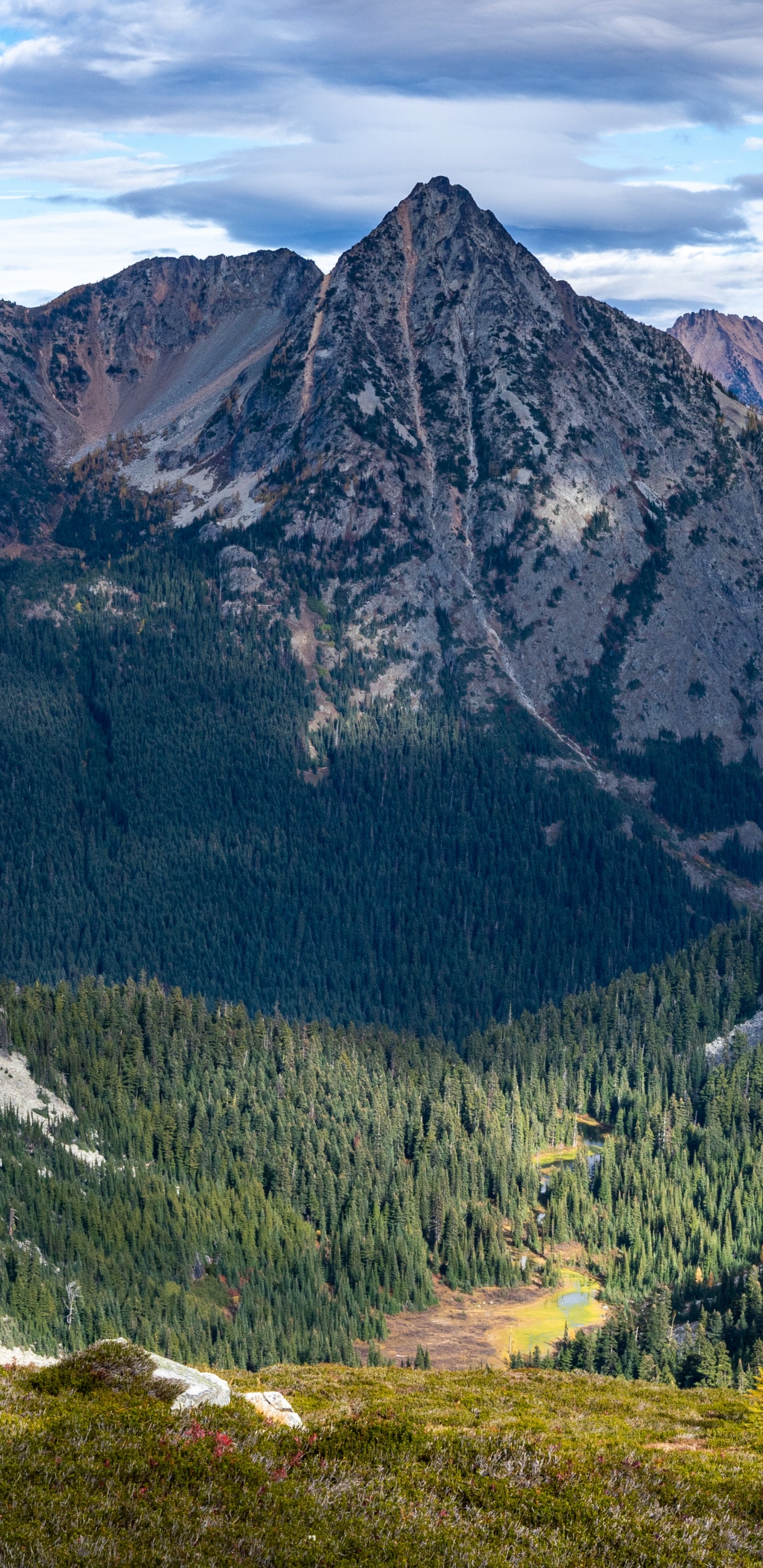 Обои Национальный лес Оканоган-Венатчи, облако, растение, гора, природный ландшафт в разрешении 1440x2960