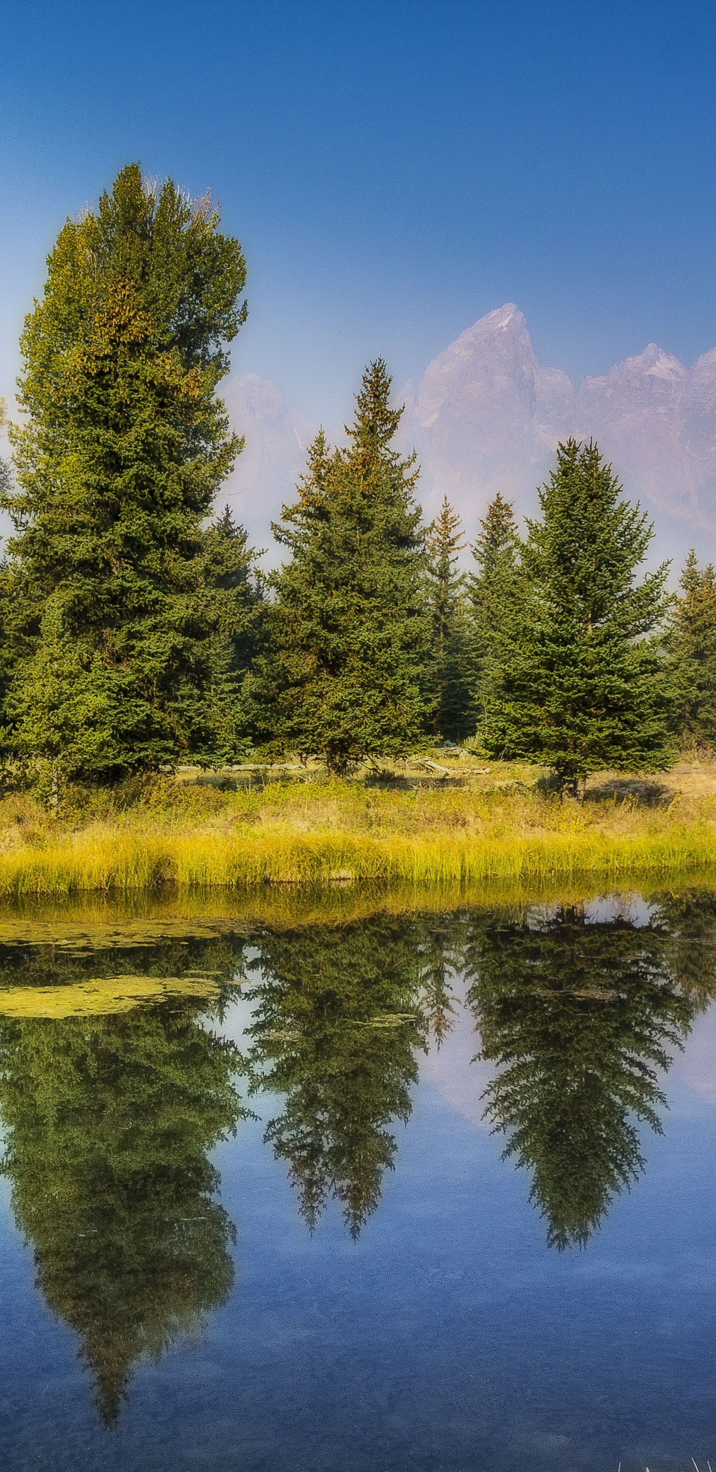 Обои отражение, природа, дикая местность, вода, природный заповедник в разрешении 1440x2960