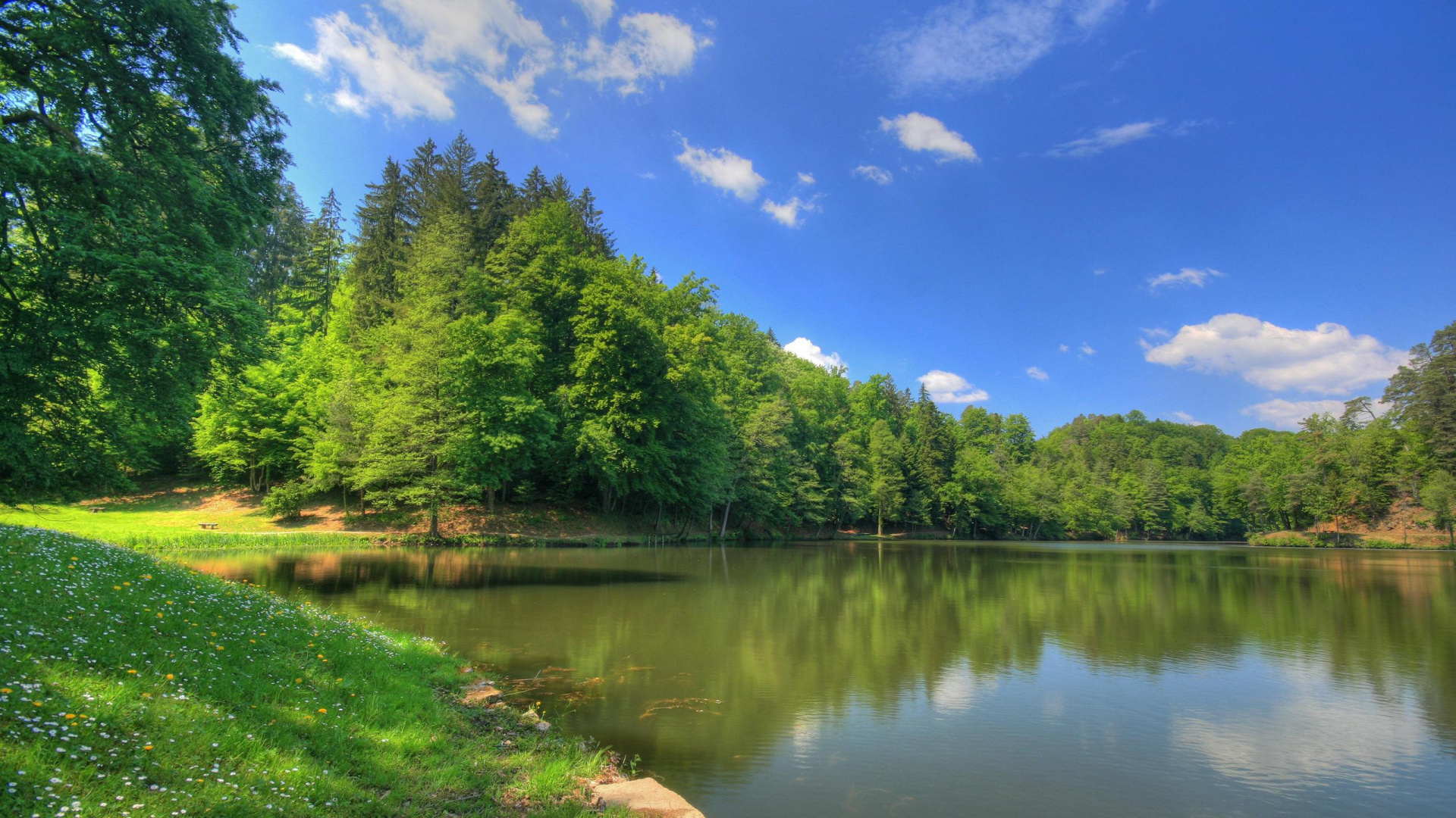 Обои природа, отражение, вода, небо, растительность в разрешении 1920x1080