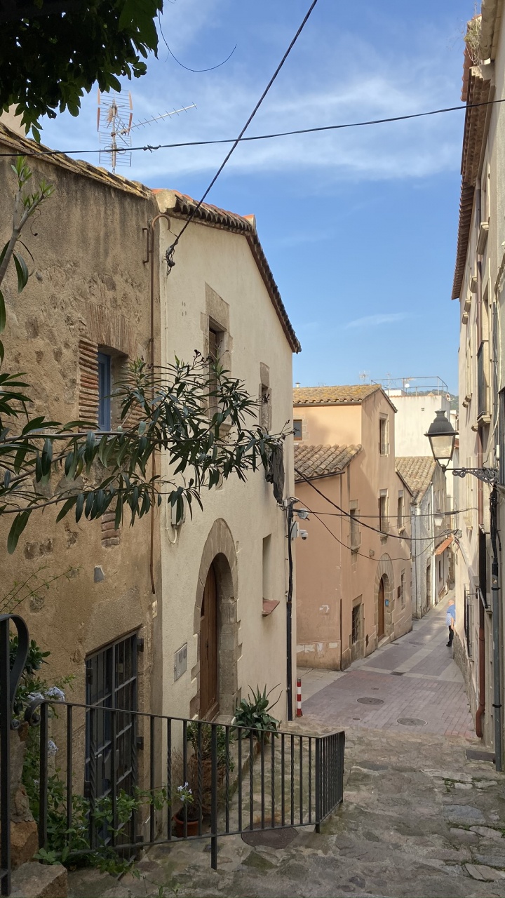 Обои аллея, недвижимость, средневековая архитектура, соседство, инфраструктура в разрешении 720x1280