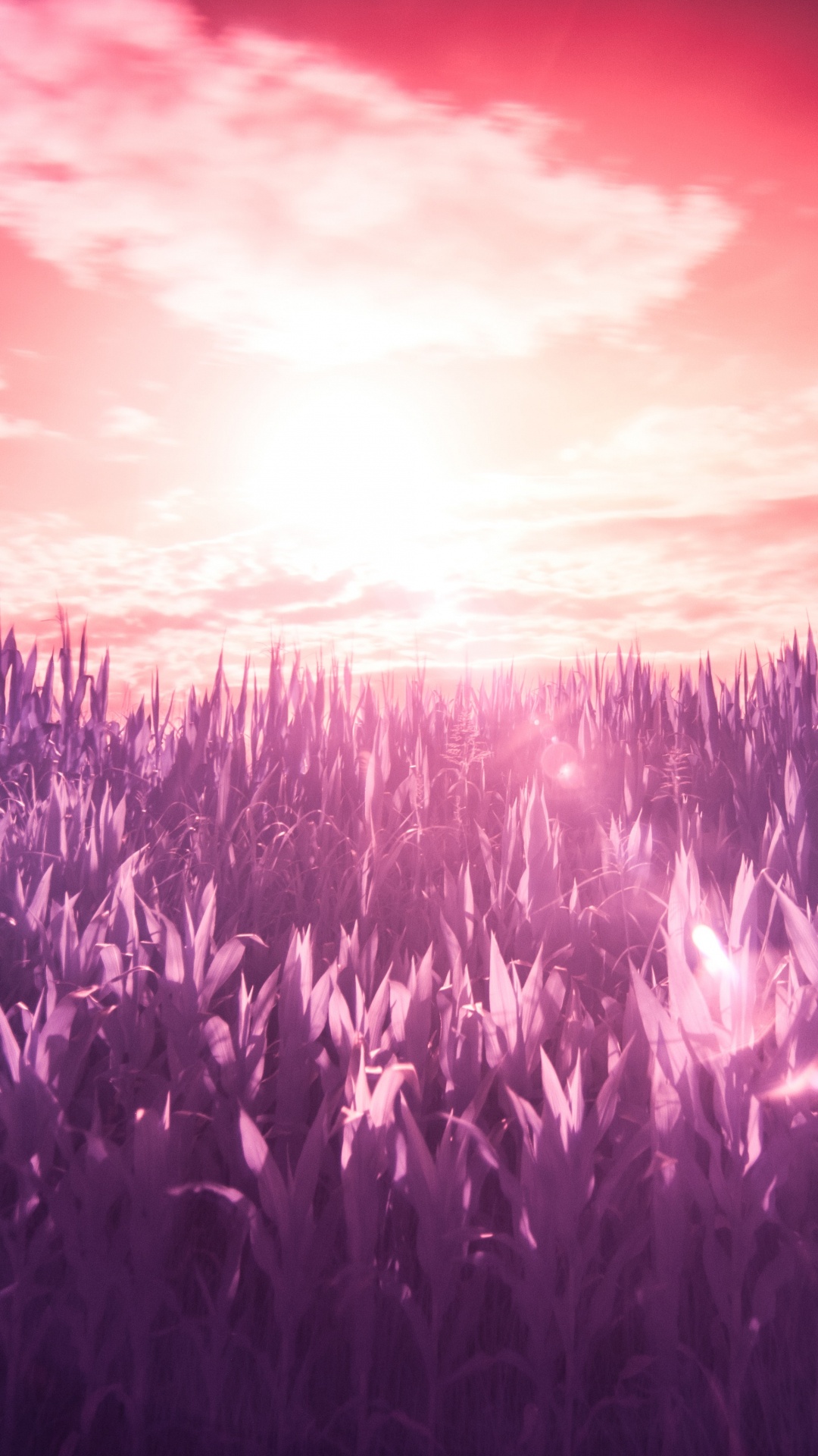 Обои пурпур, Фиолетовый, лаванда, свет, горизонт в разрешении 1080x1920