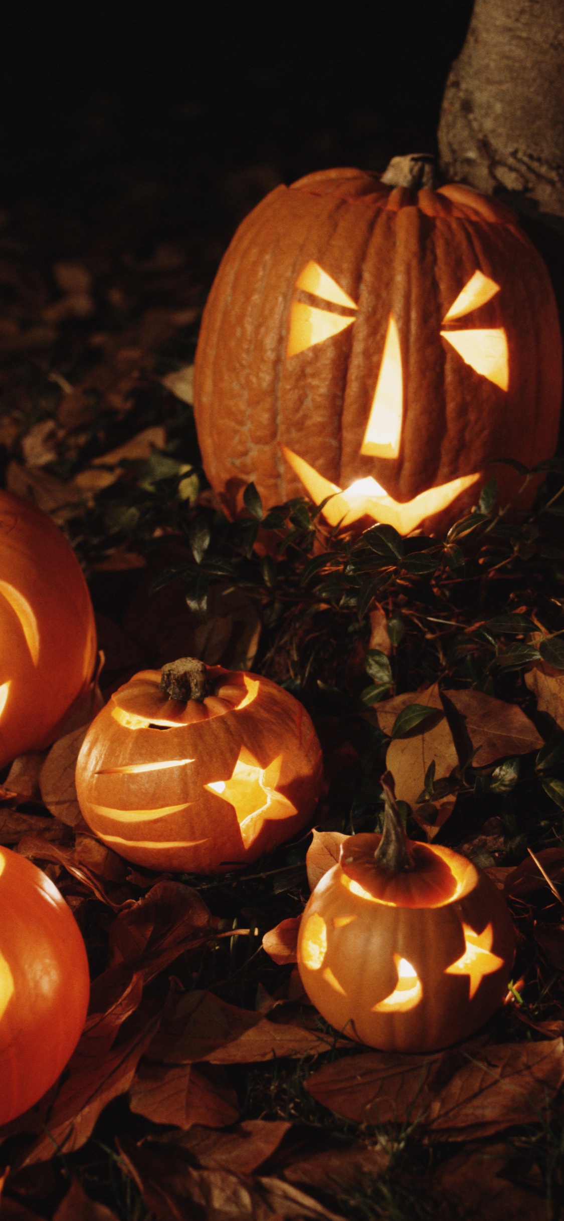 Обои тыквенных, Джек о фонарь, фонарь, Карвинг овощей, тыква в разрешении 1125x2436